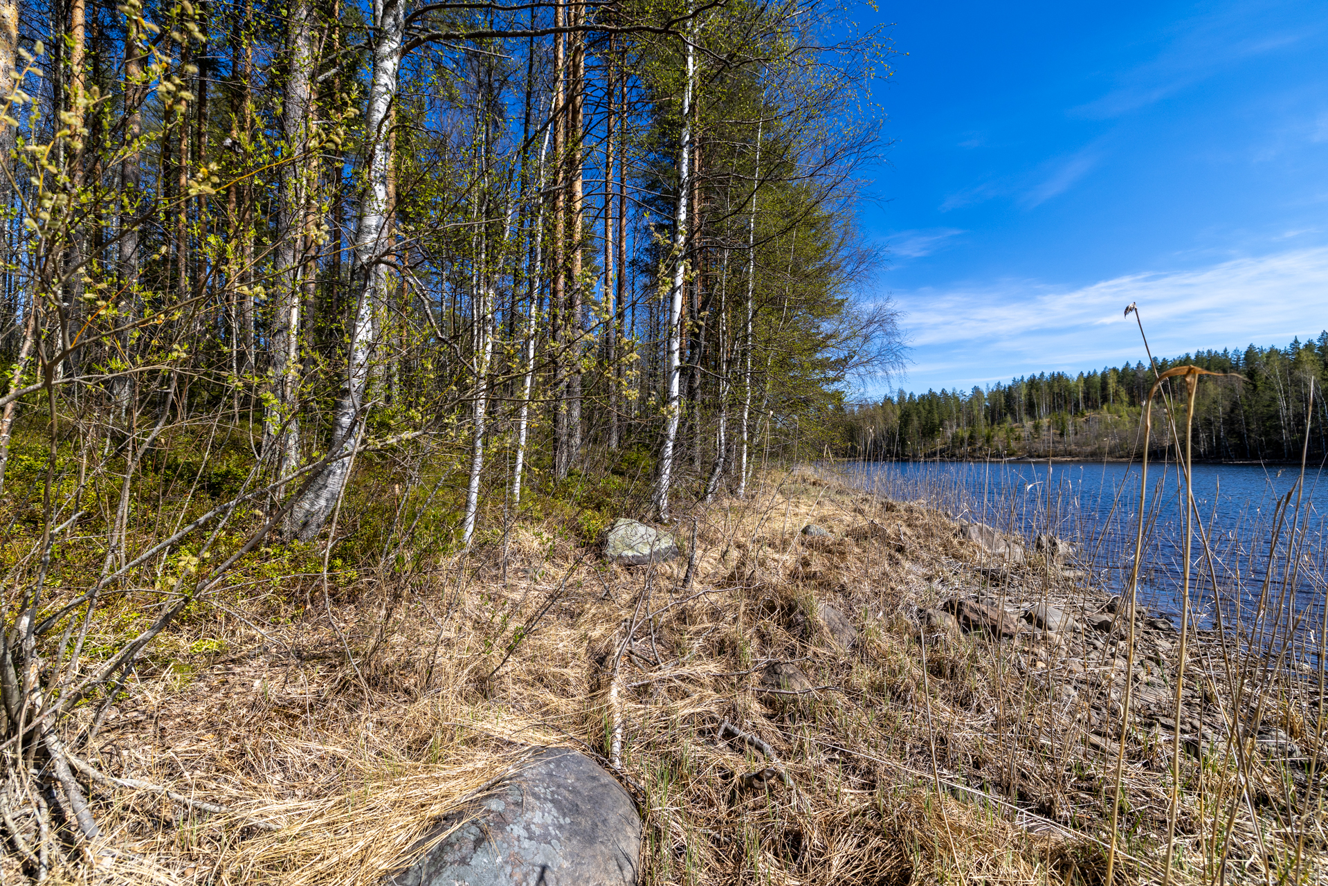 Pakkasensalmentie, Juva