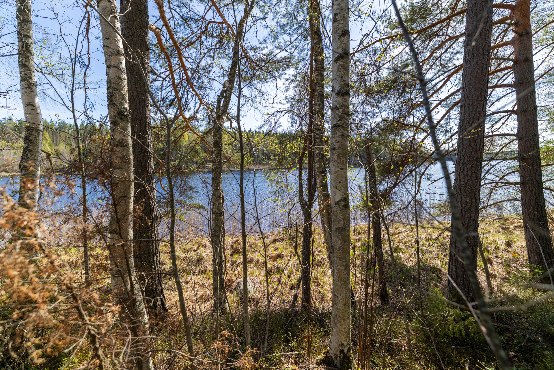 Pakkasensalmentie, Juva