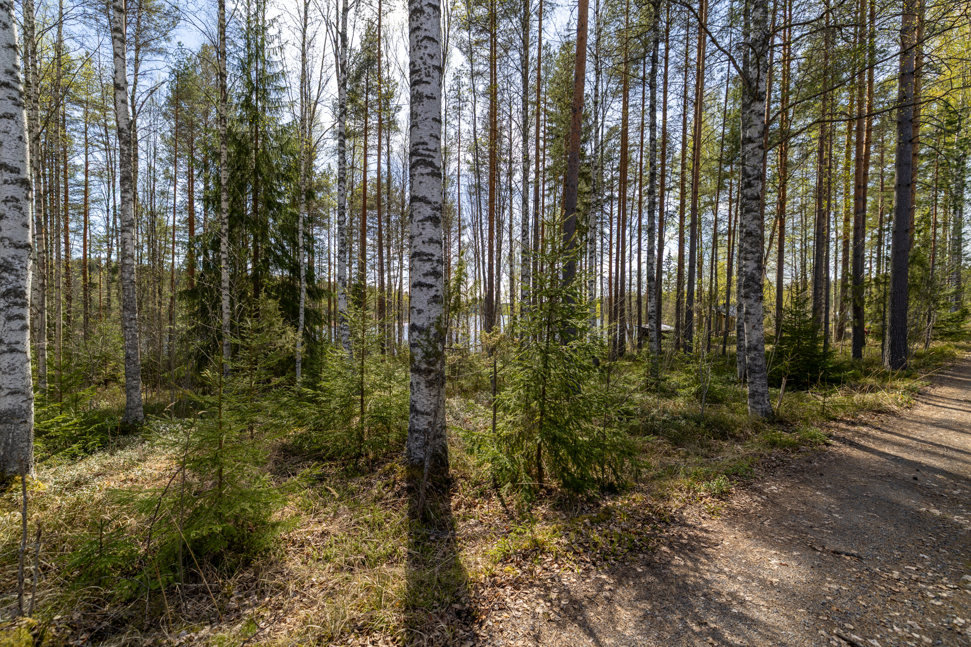 Pakkasensalmentie, Juva