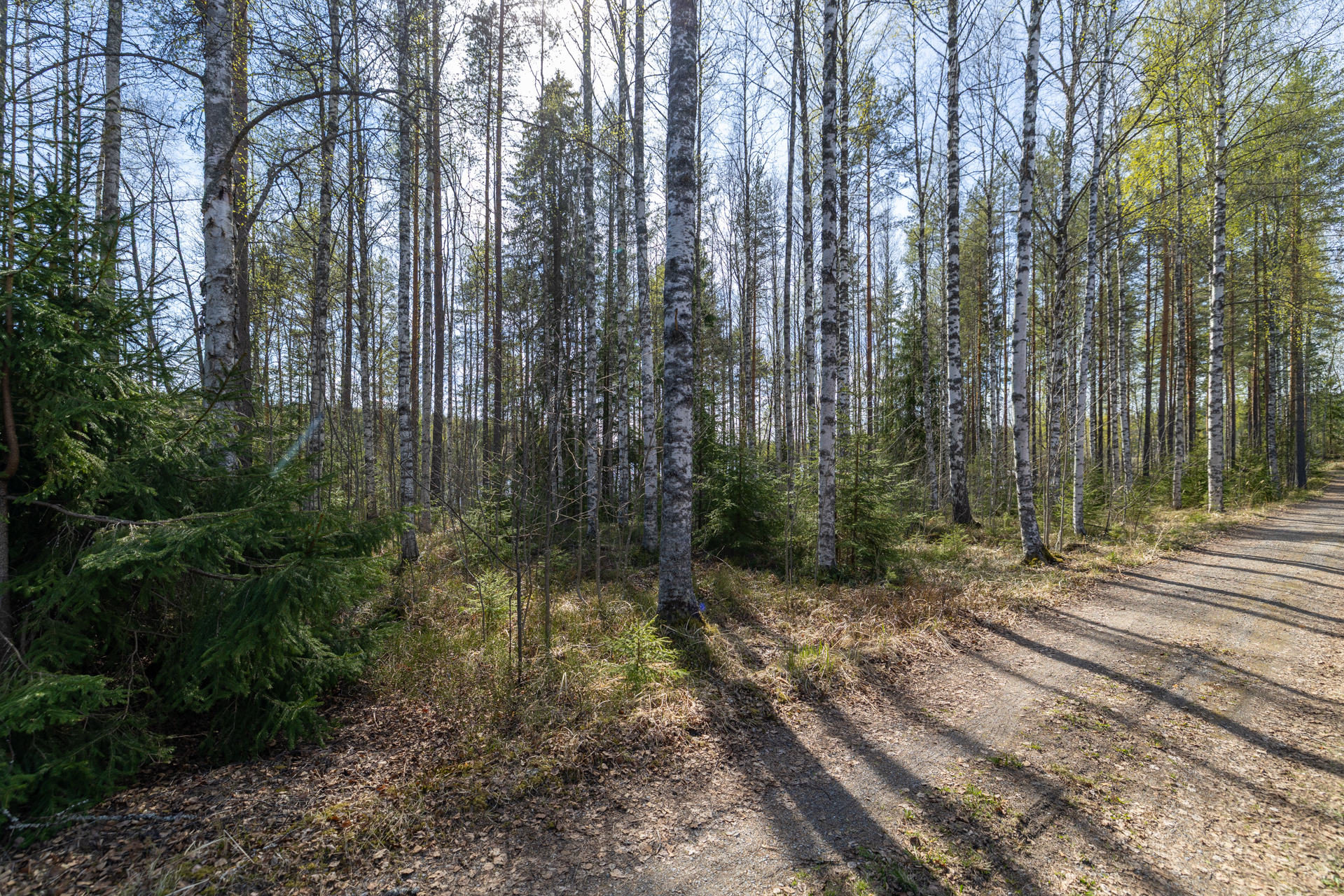 Pakkasensalmentie, Juva