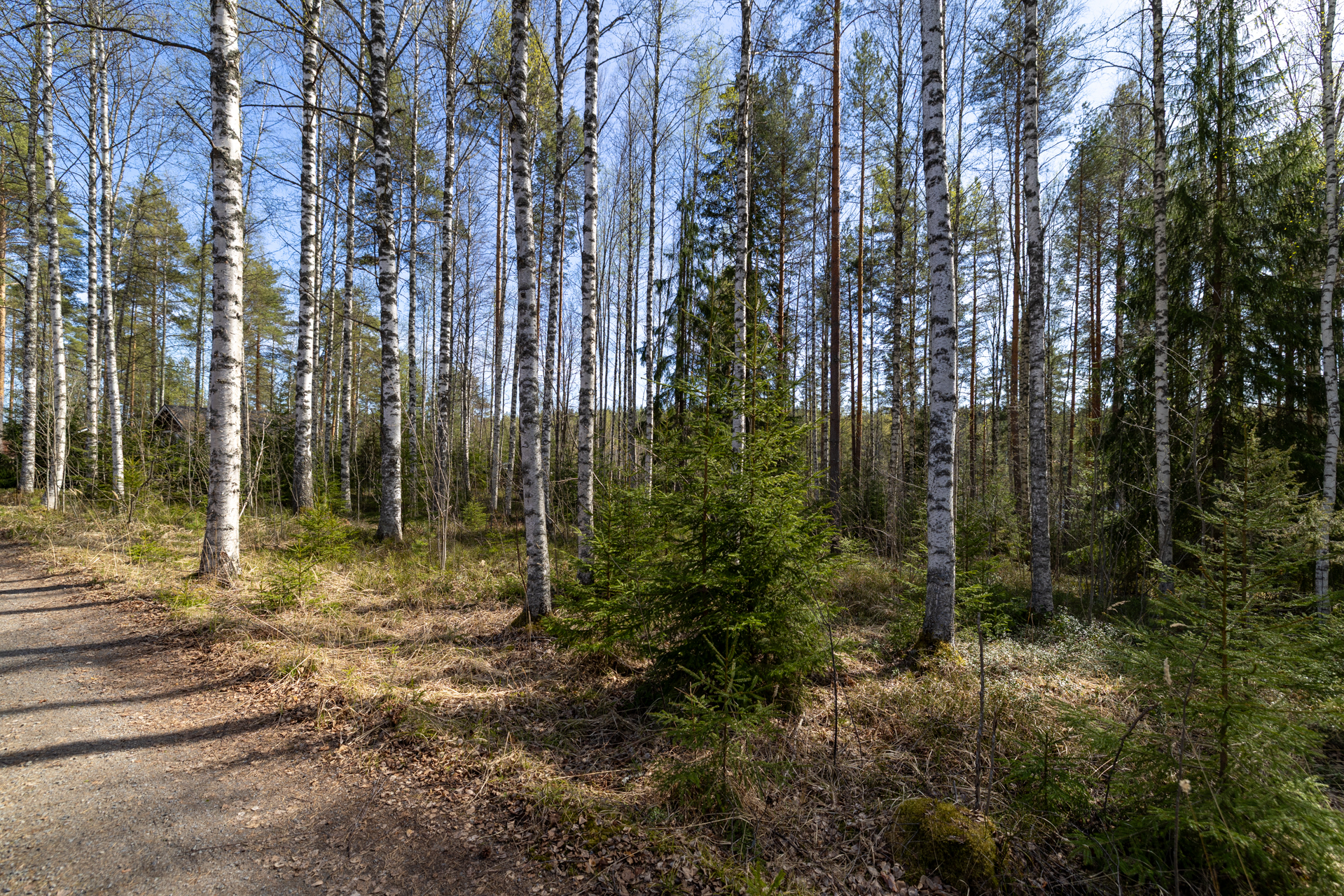 Pakkasensalmentie, Juva