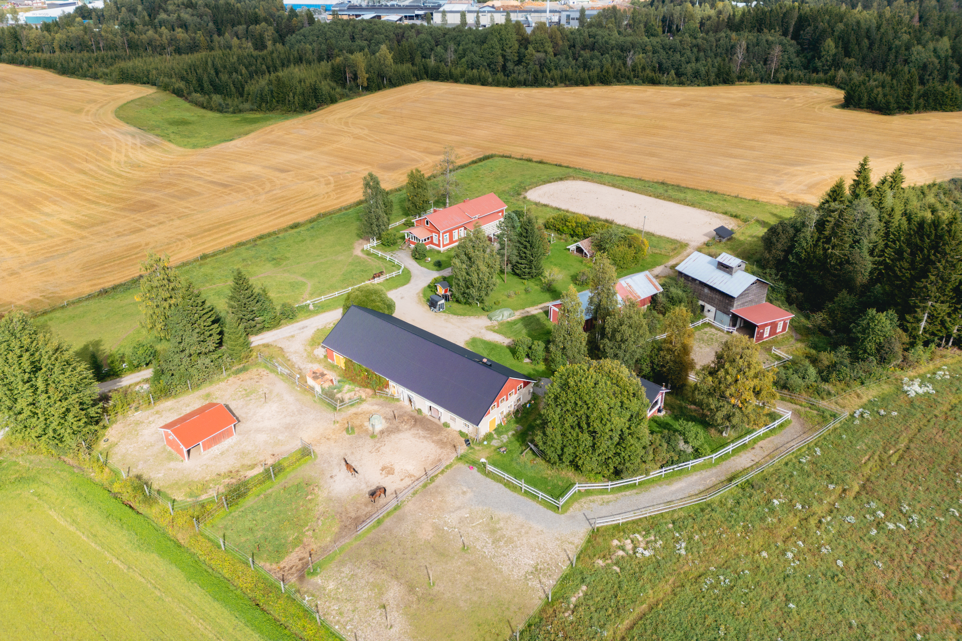 Naapintie 30, Korkeakoski, Juupajoki