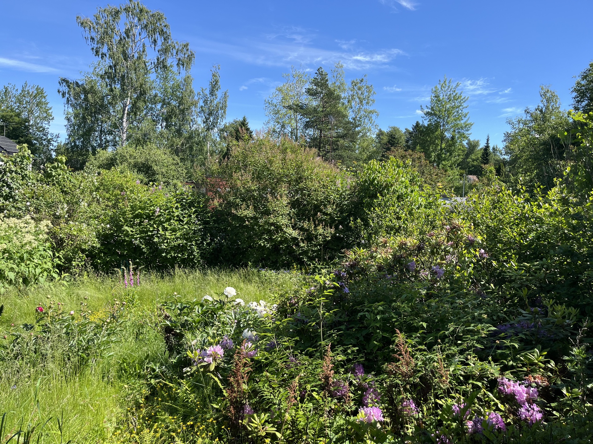 Jäkärläntie 3, Vesala, Helsinki