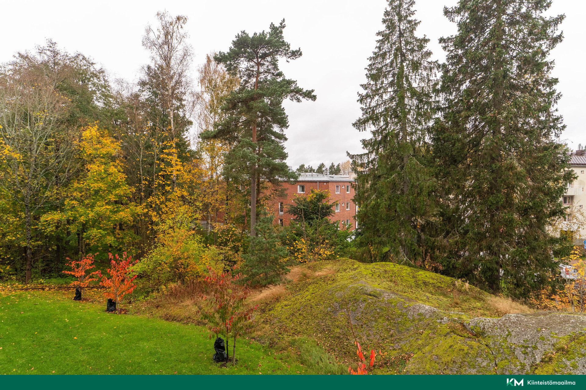 Riistavuorenkuja 3, Etelä-Haaga, Helsinki