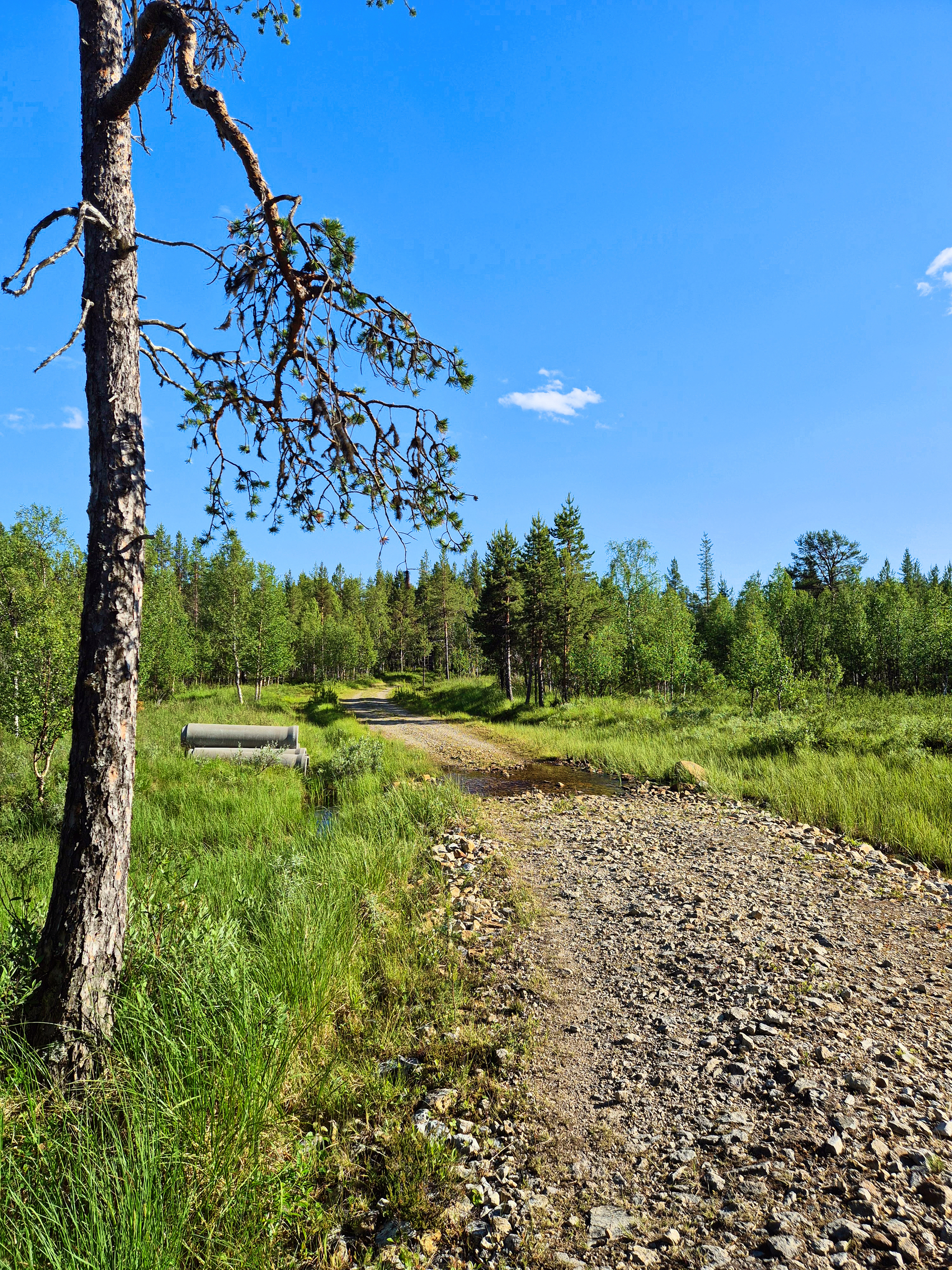 Mökkitien elussa pieni puro ylitettävänä