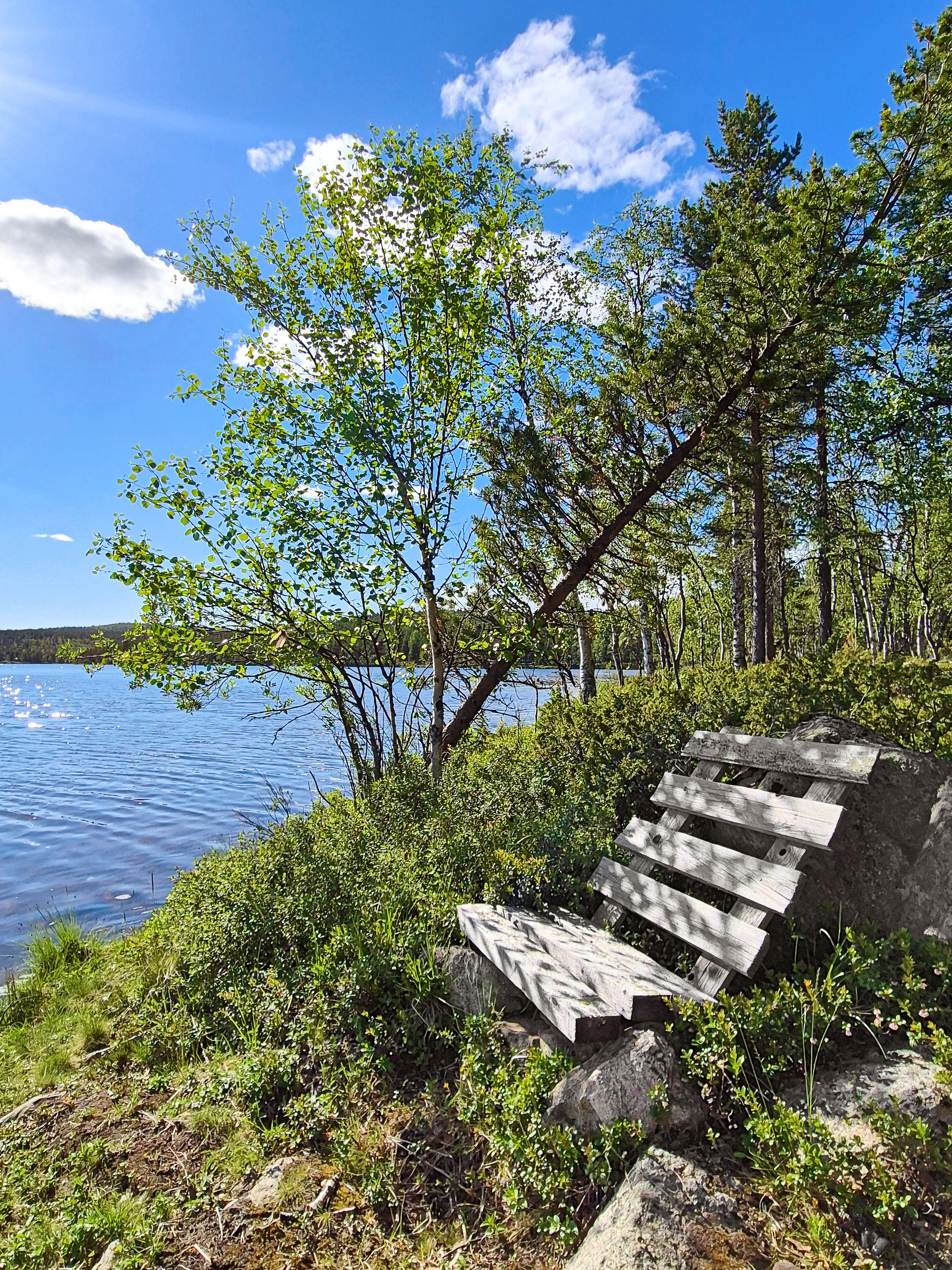Lemmenjoentie, Menesjärvi, Inari