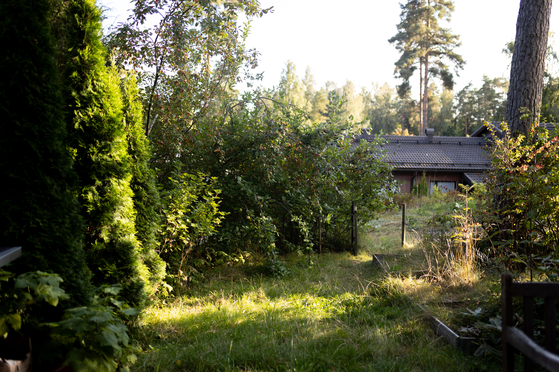 Brontie 5, Bro, Kirkkonummi