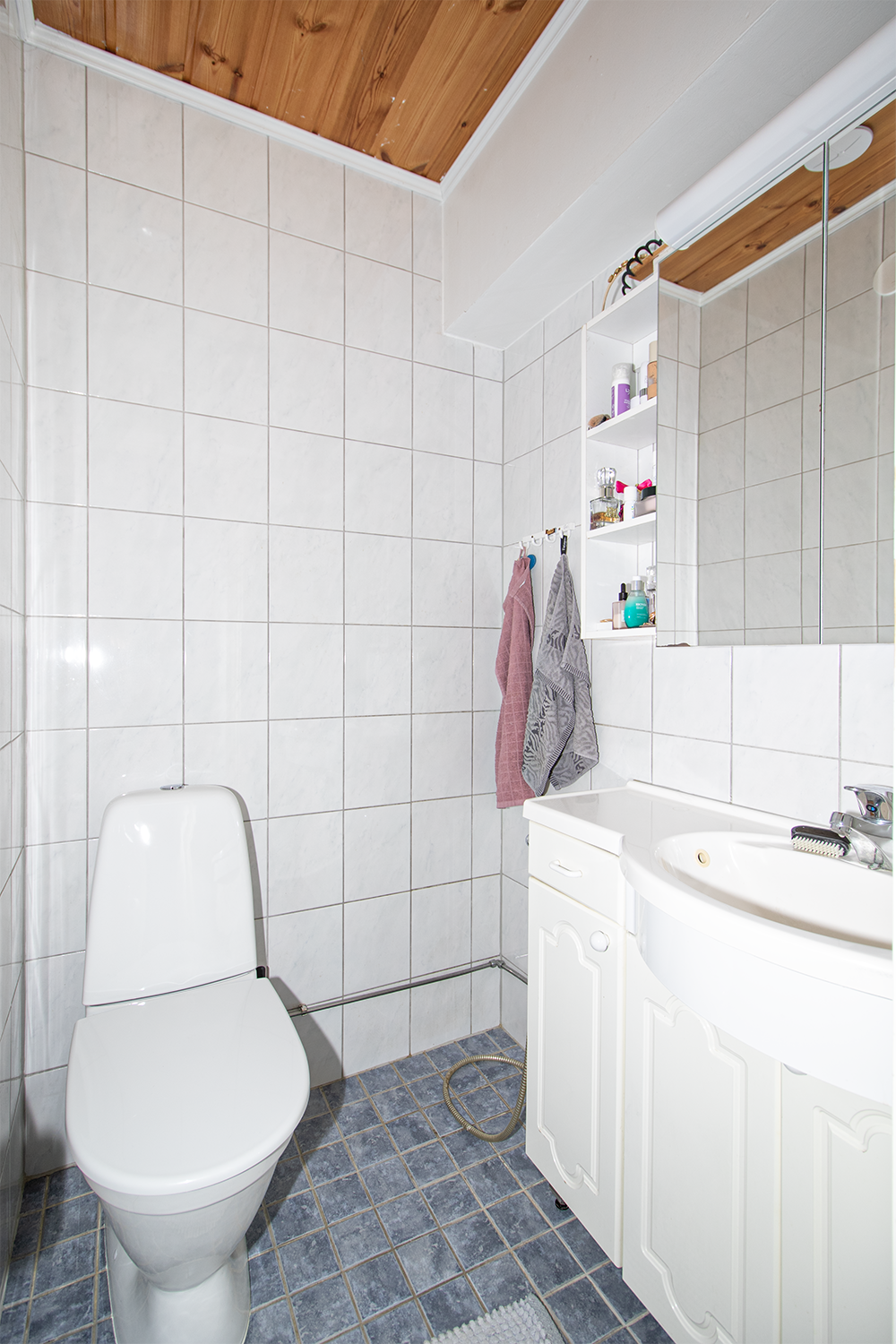 Erillinen wc