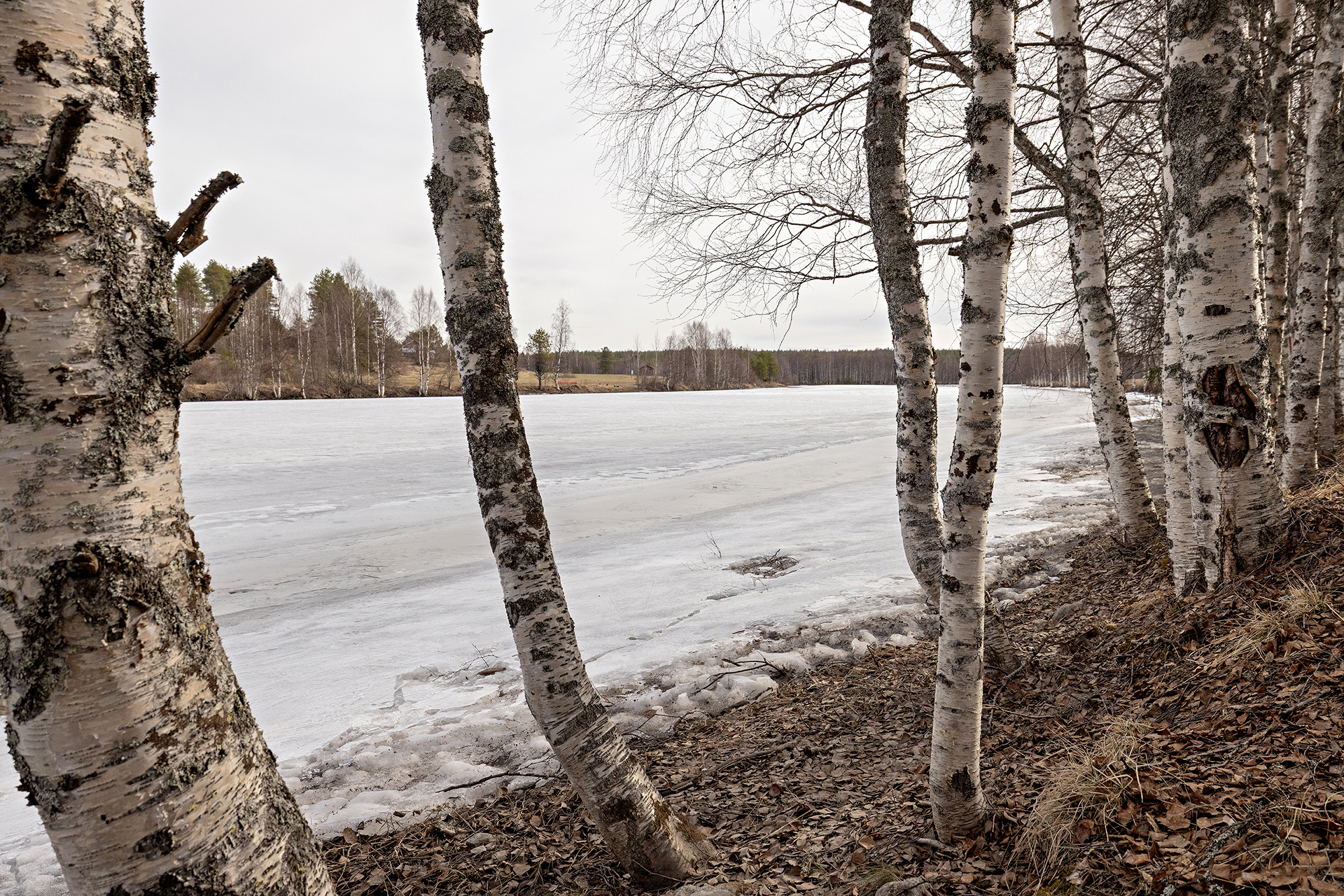 Ervastintie 333, Pudasjärvi