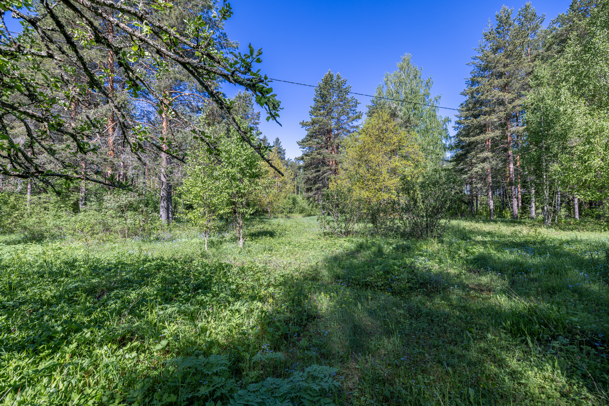 Vanharannantie 12, Suomenniemi, Mikkeli