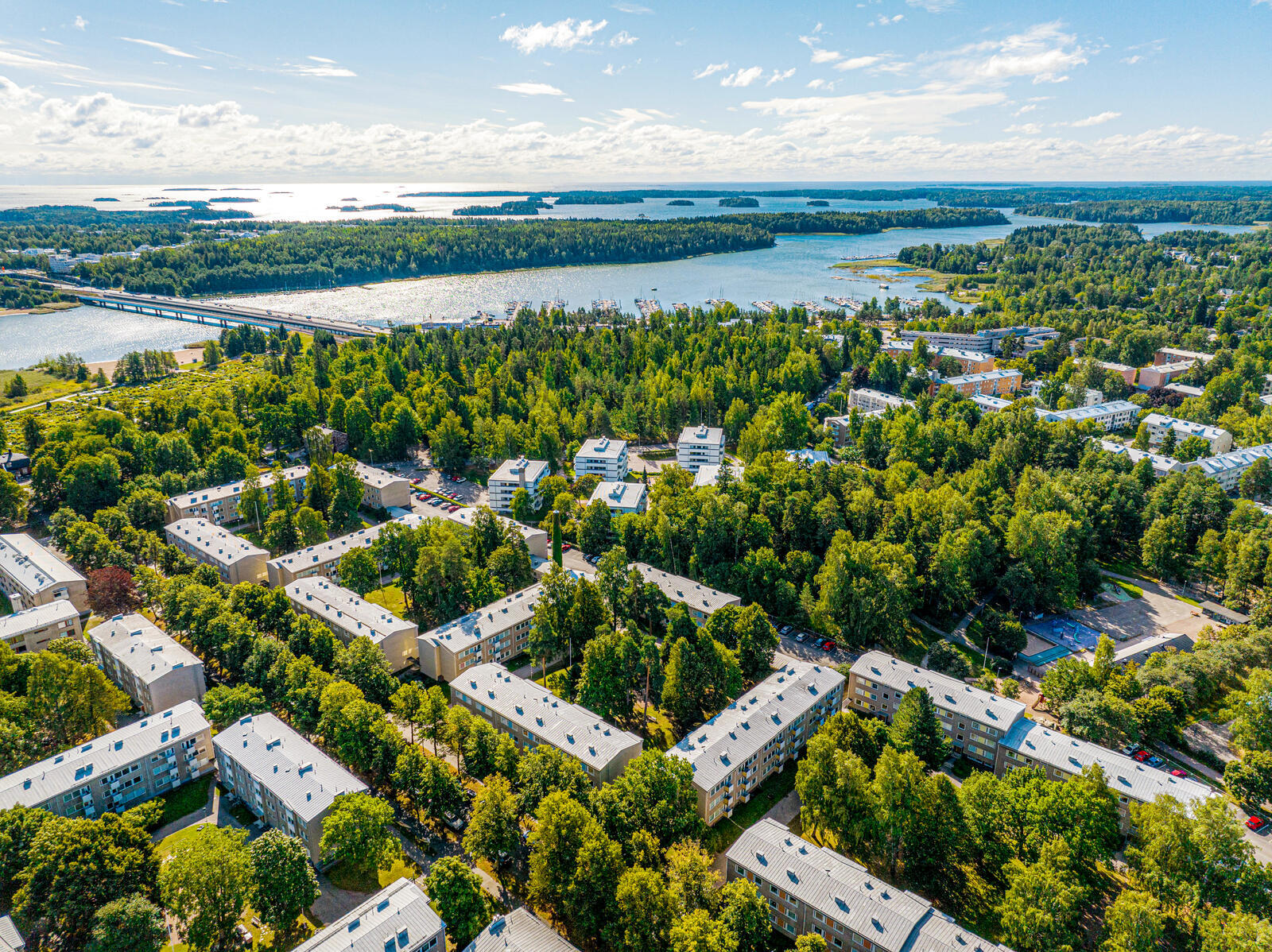 Vehreää luonnonmukaista aluetta