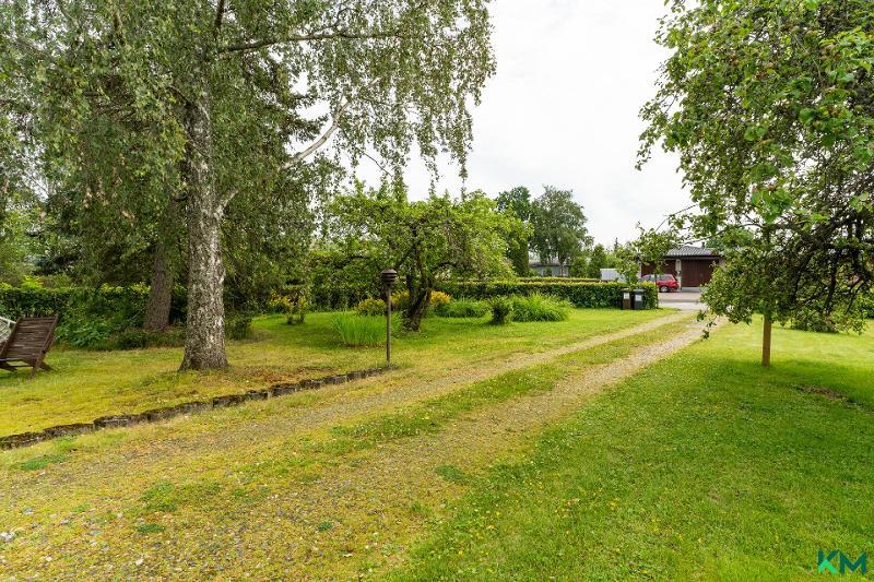 Selkeälinjainen tontti