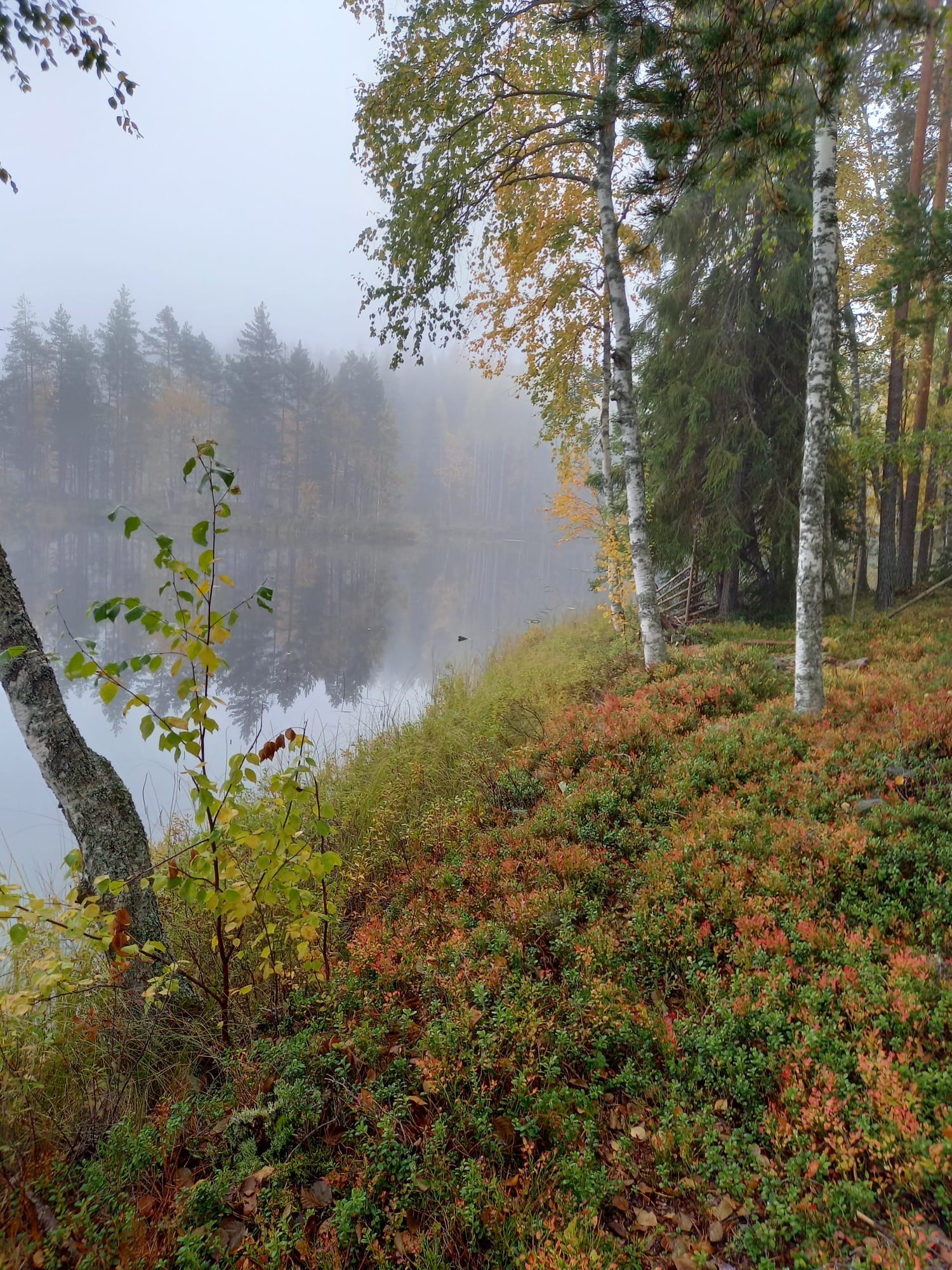 Kurkijärventie 62, Mikkeli