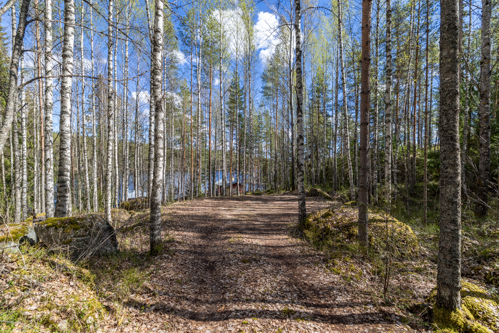 Kurkijärventie 62, Mikkeli