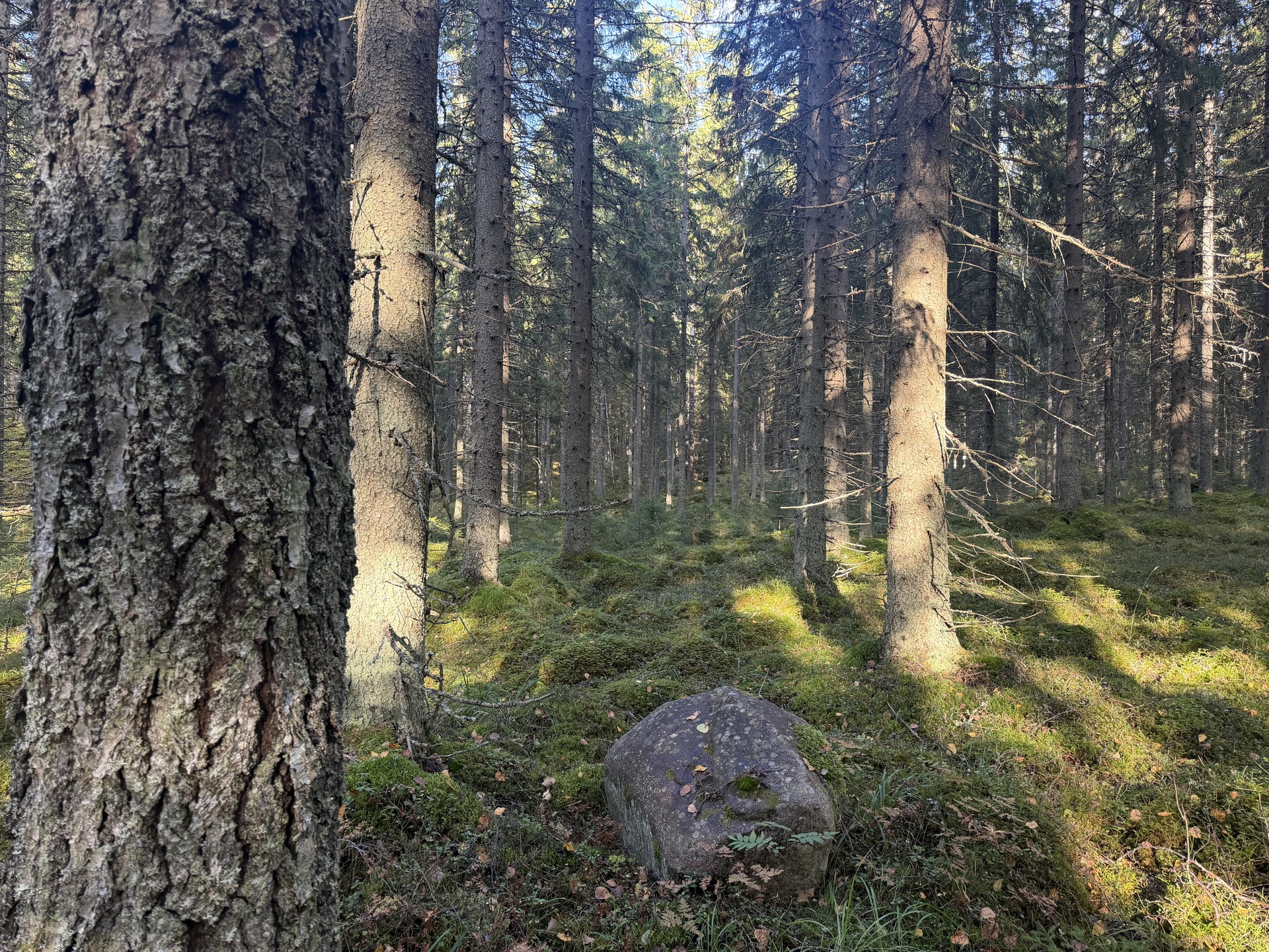 Lintumäentie 21, Hämeenlinna