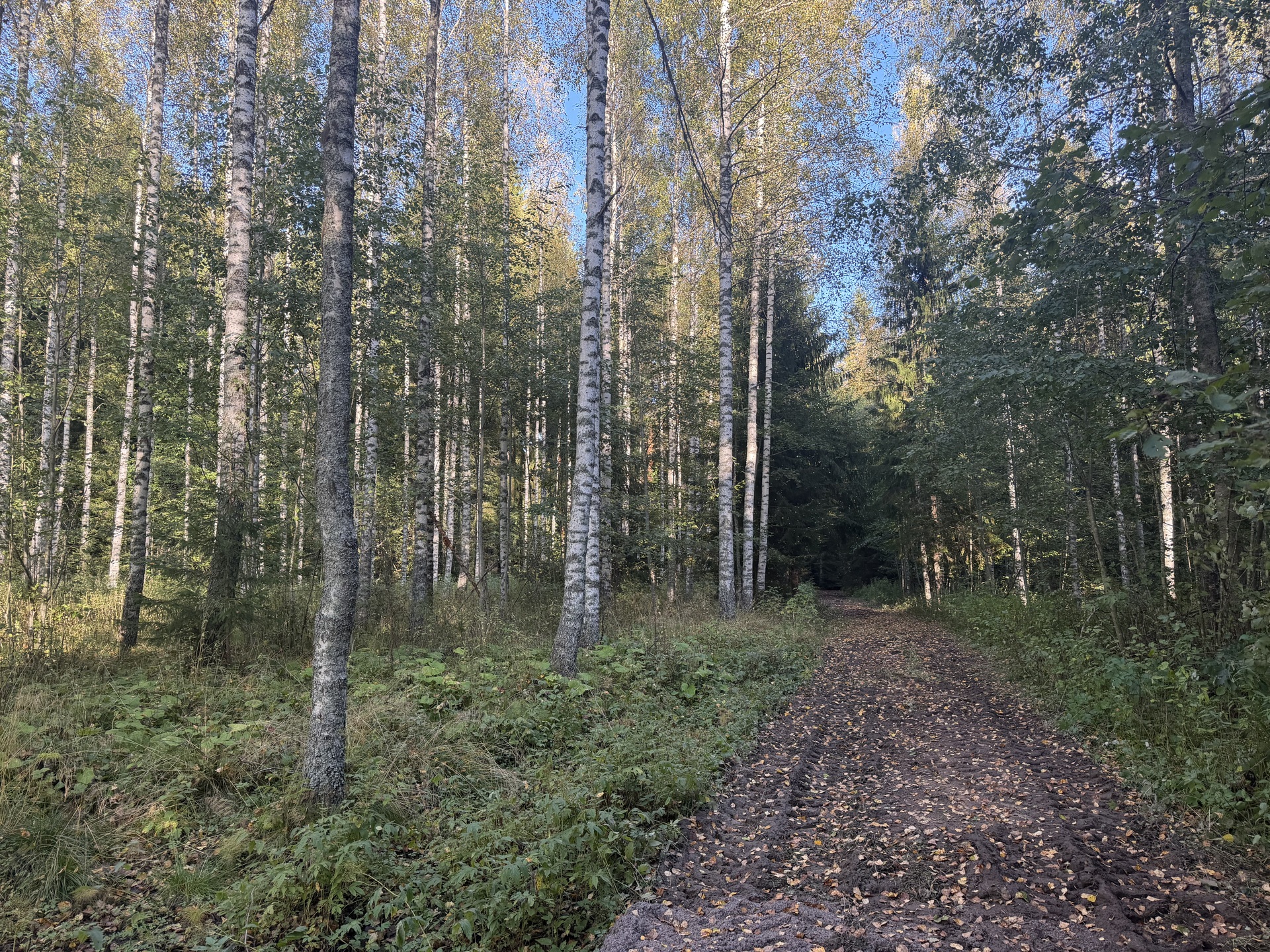 Lintumäentie 21, Hämeenlinna