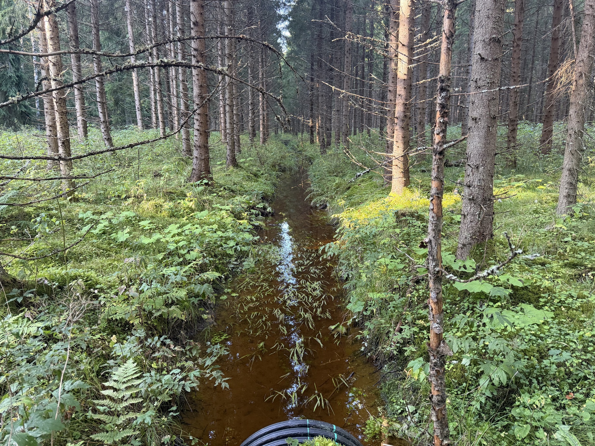 Lintumäentie 21, Hämeenlinna