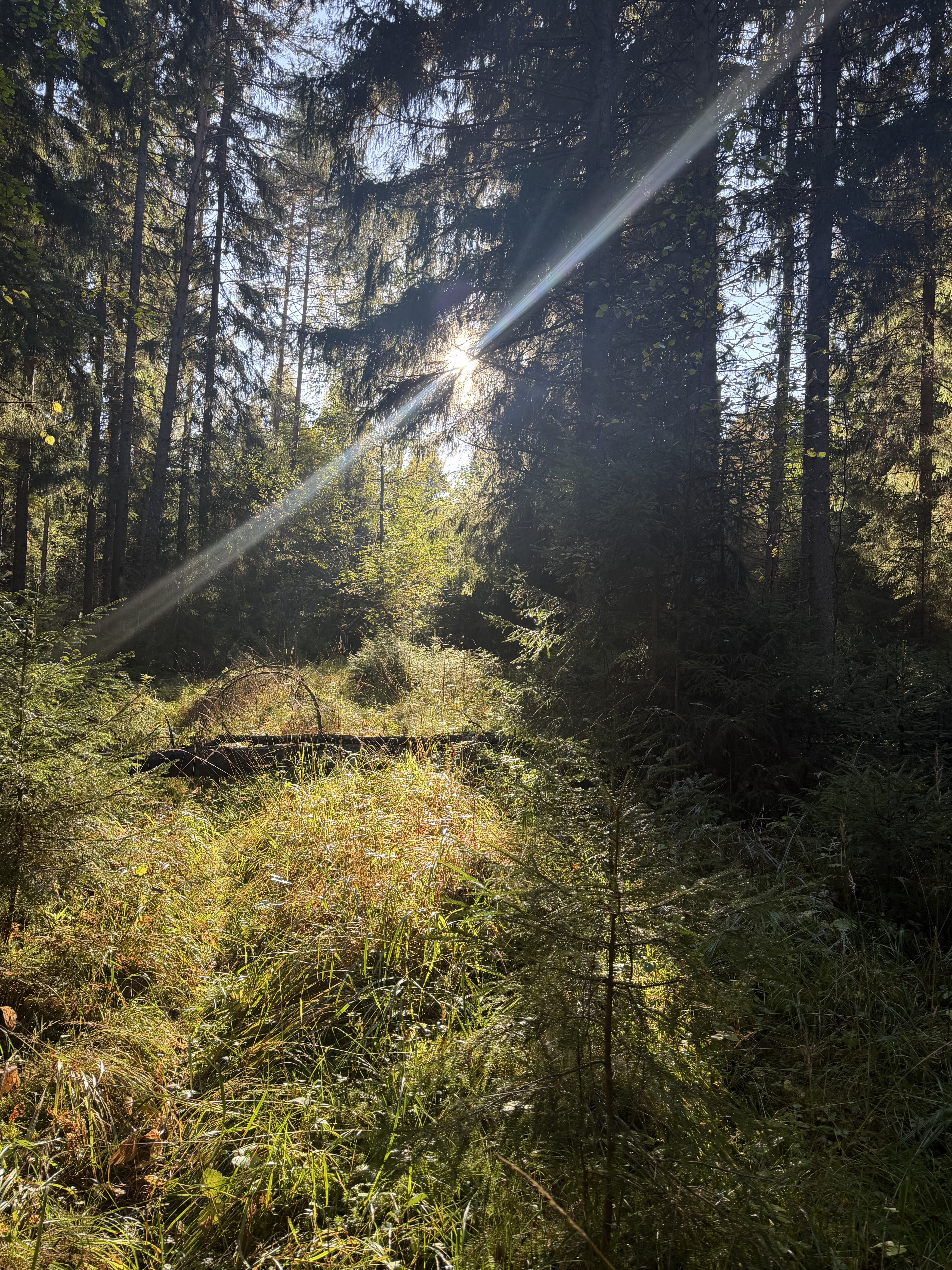 Lintumäentie 21, Hämeenlinna