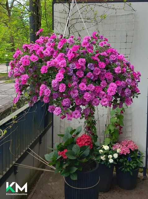 Vuorikatu 15, Keskusta, Lahti