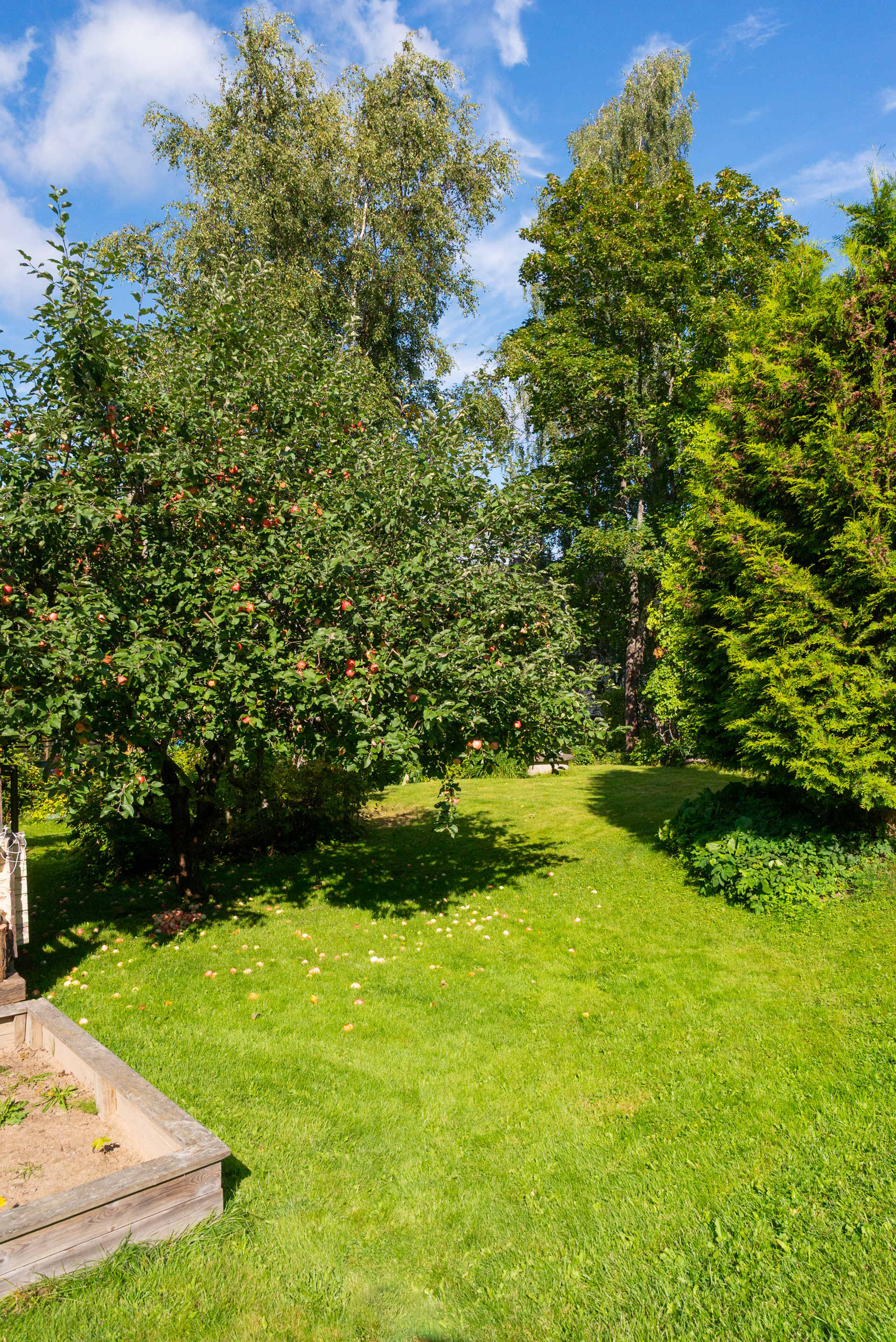 Lehvätie 19, Tuohimutka, Jyväskylä