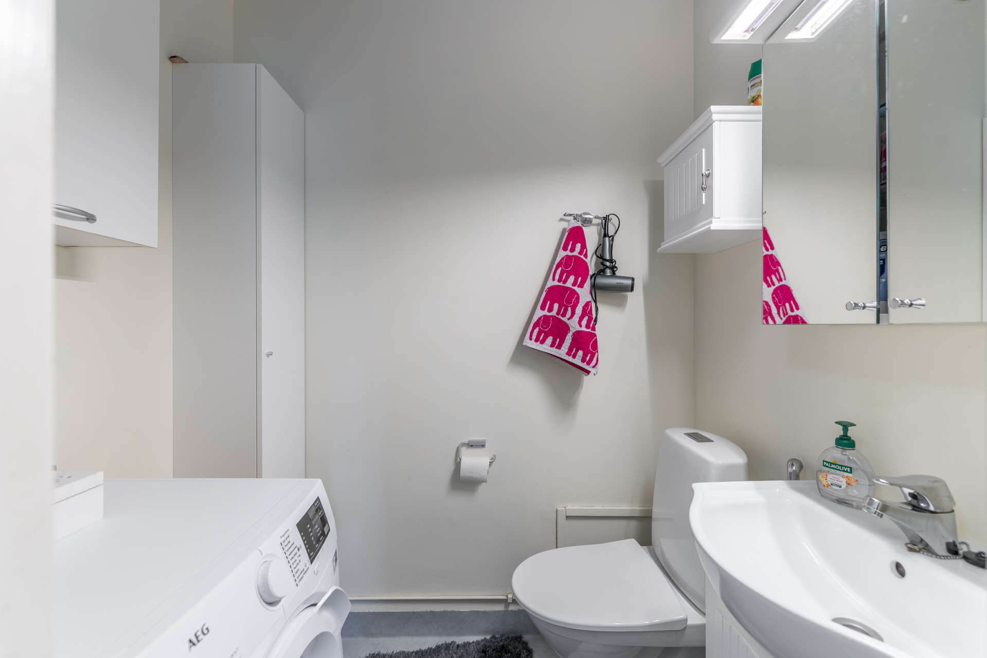 erillinen wc, jossa pesukoneliitäntä