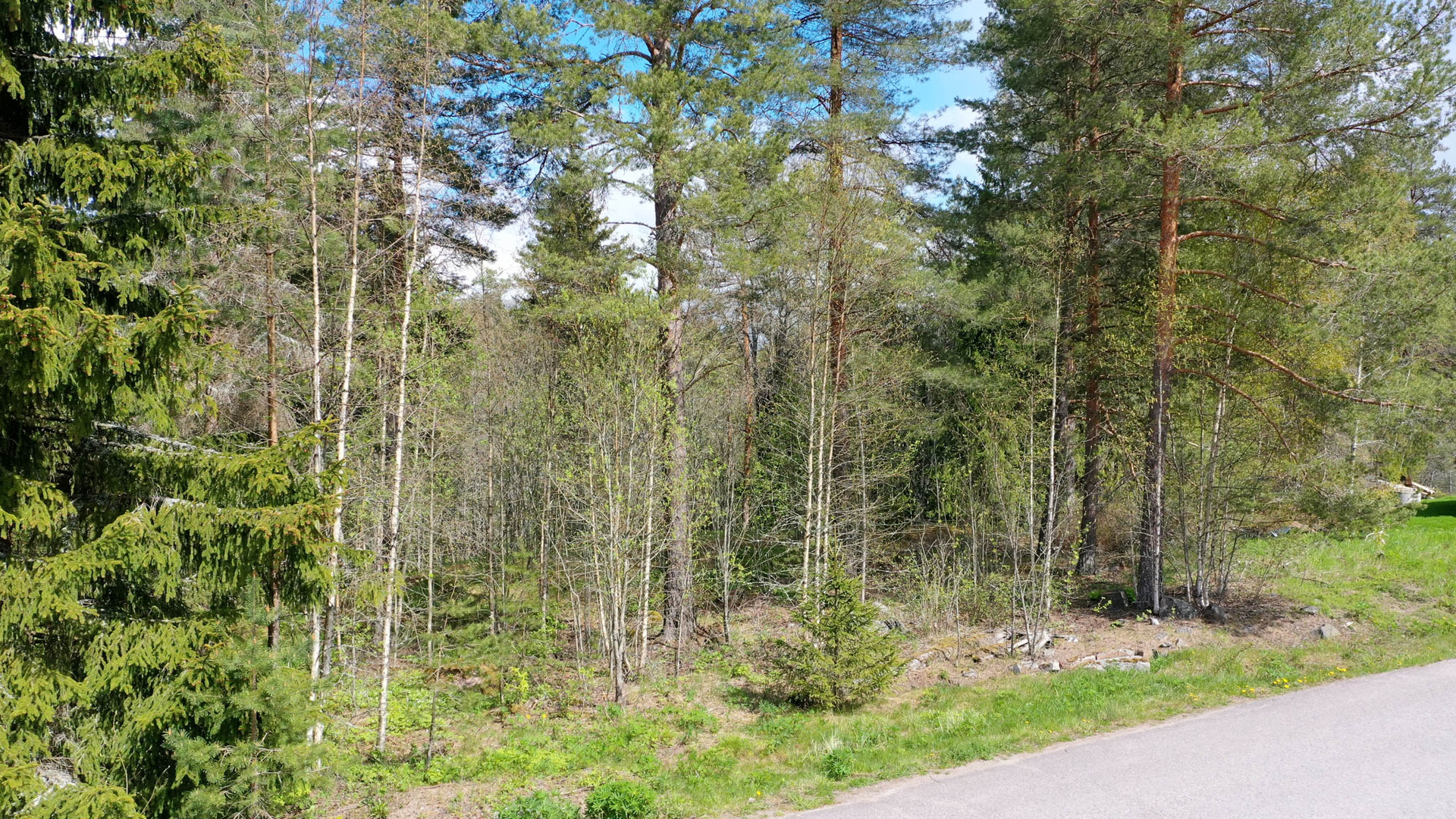 Tammijoentie 18, Otalampi, Vihti