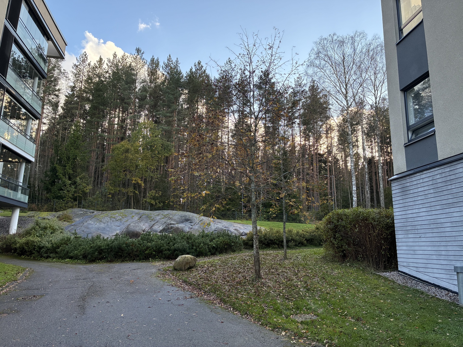 Keskuspuiston luontopaluille ns. kotiovelta