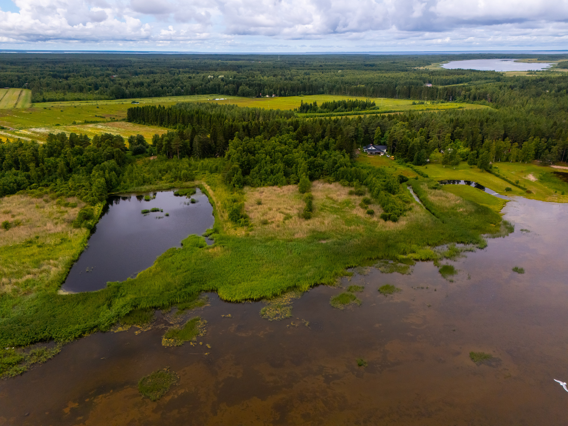 Pekurintie 71, Oulunsalo, Oulu