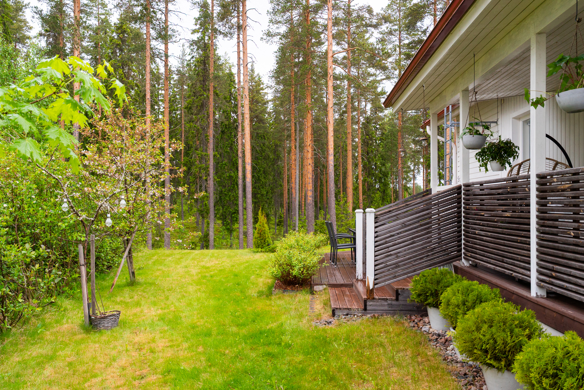 Aspitie 16, Sääksvuori, Jyväskylä