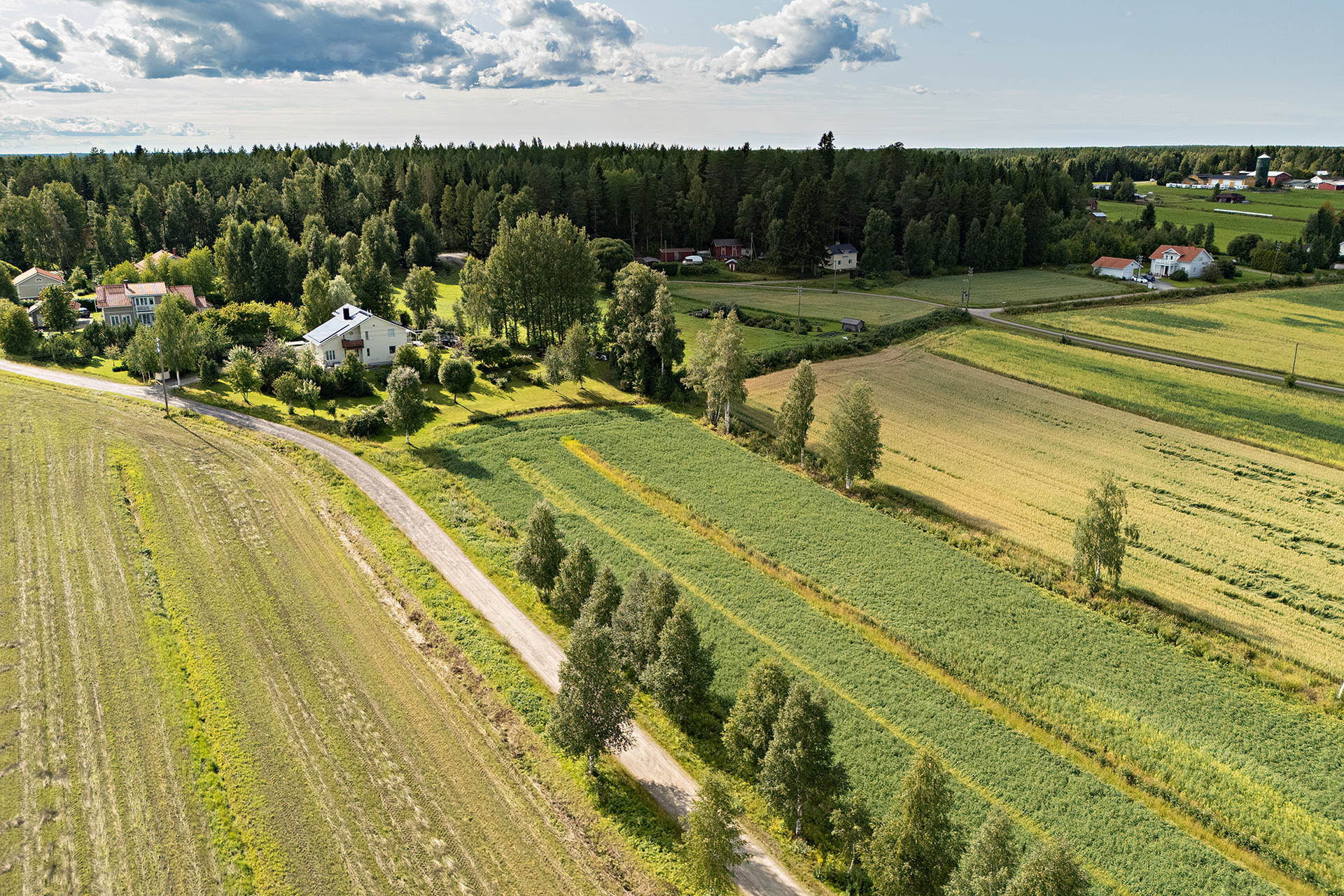 Örönkuja 17, Muhos