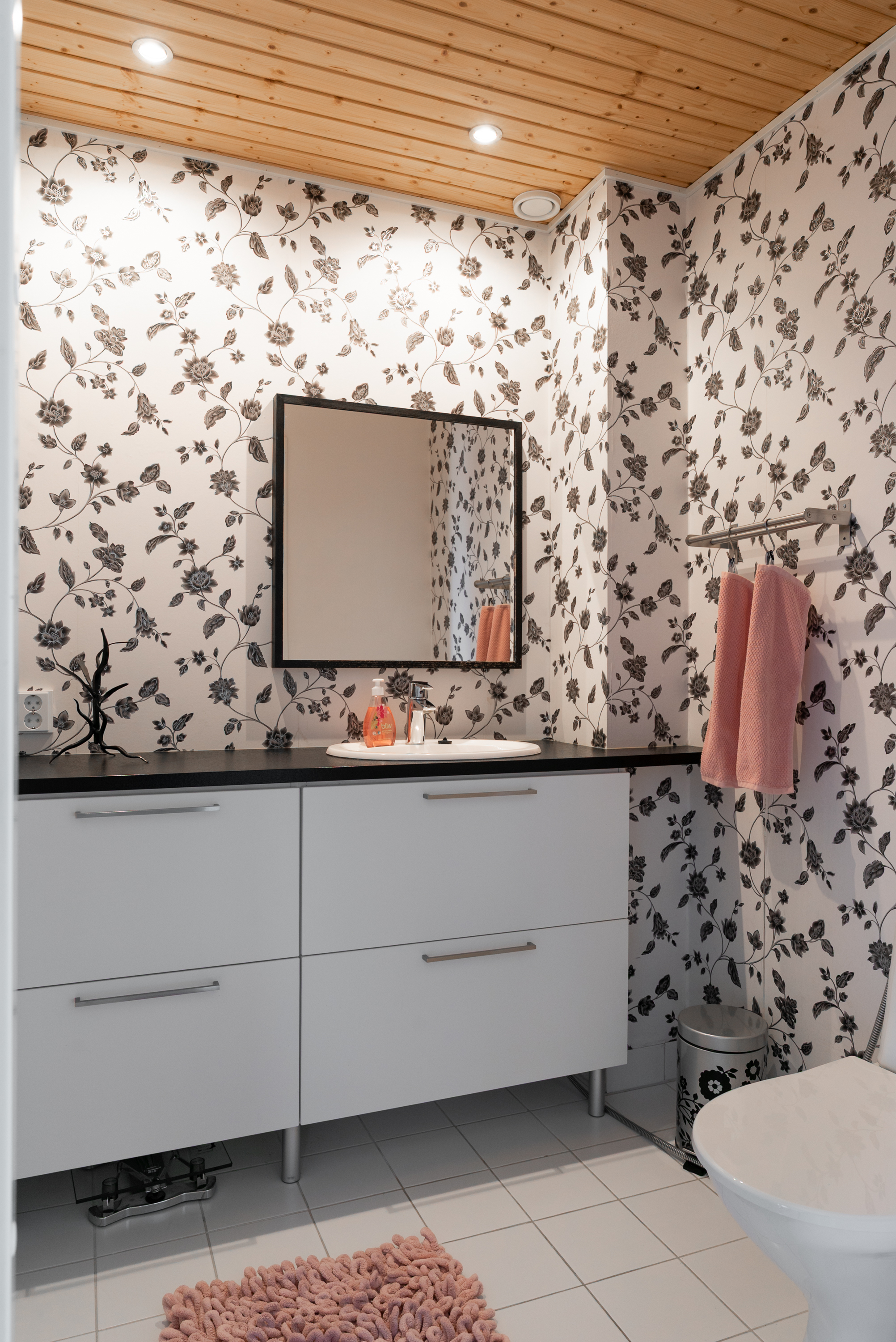 Alakerran erillinen wc