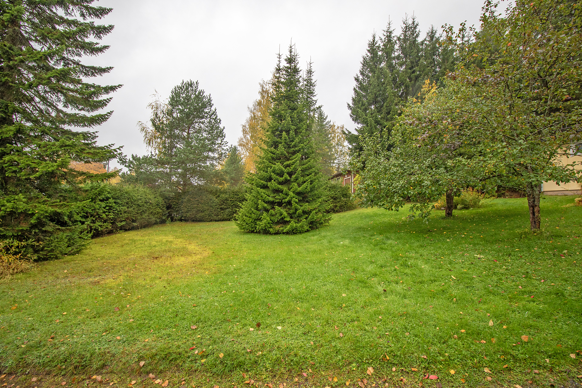 Rantarinne 6, Vehmersalmi, Kuopio