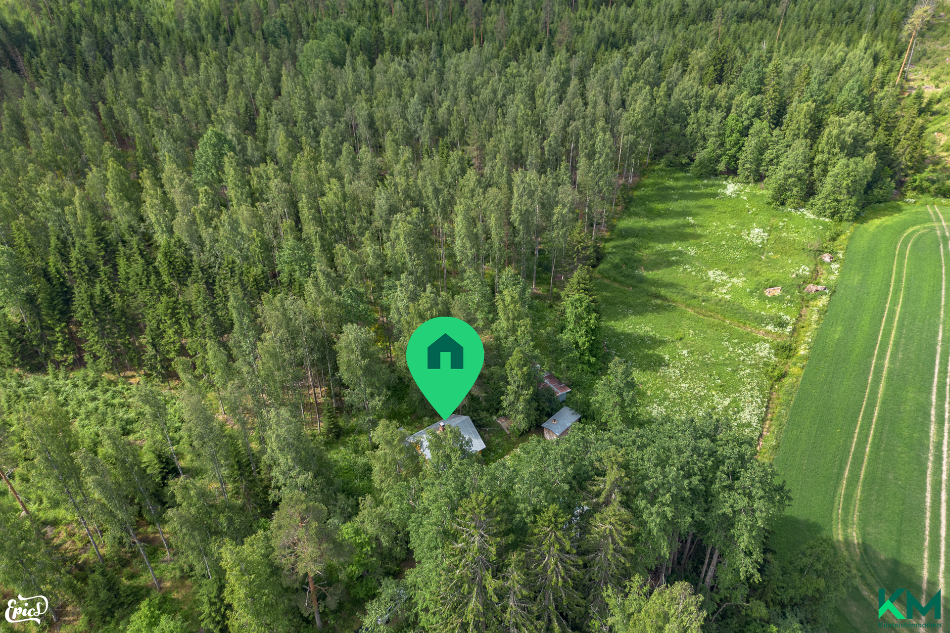 Tilan koko 7000 m2