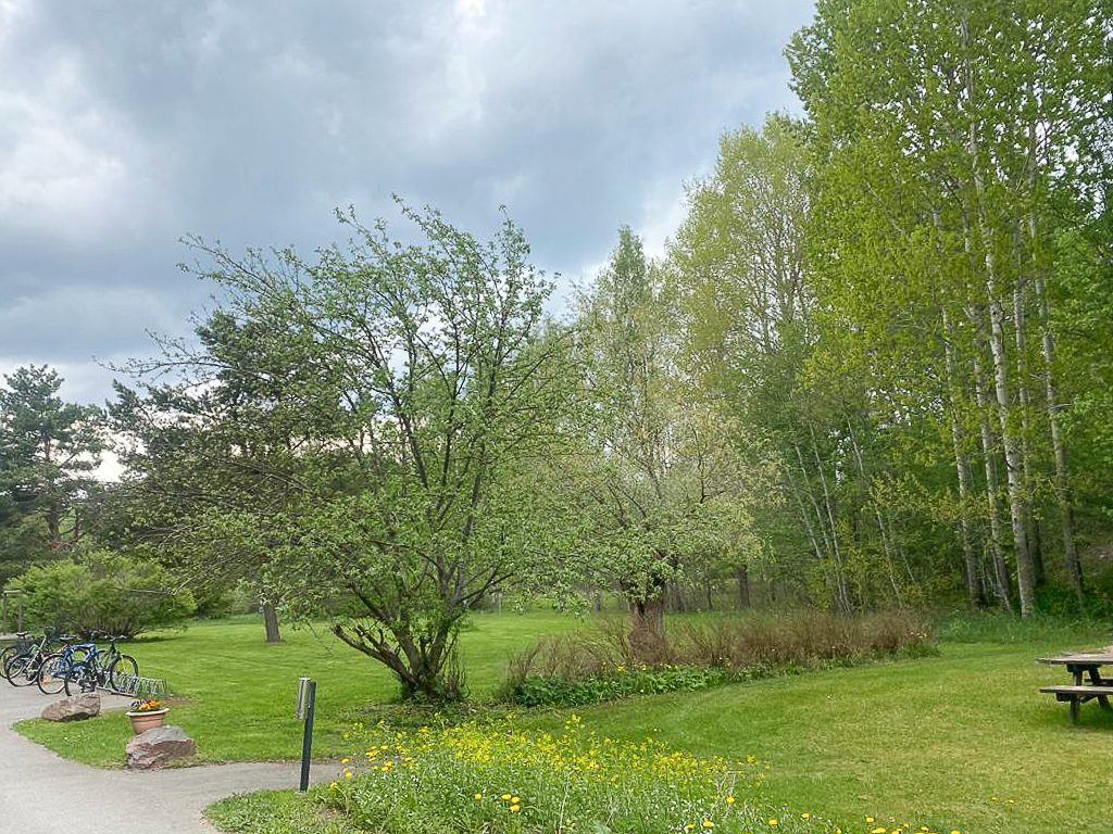 Laaksokuja 5, Lindal, Kirkkonummi