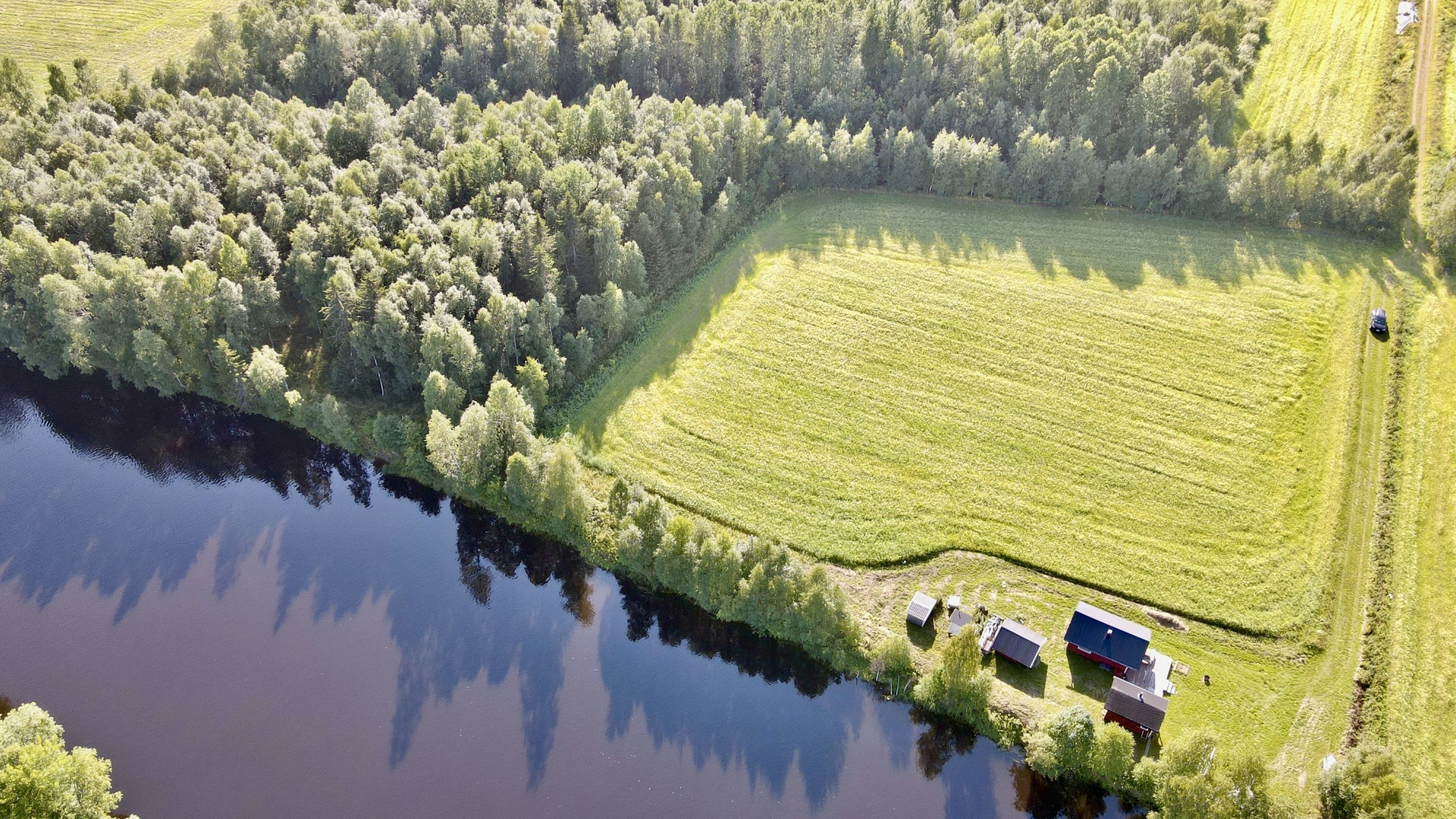 Tila sisältää peltoa ja metsää.