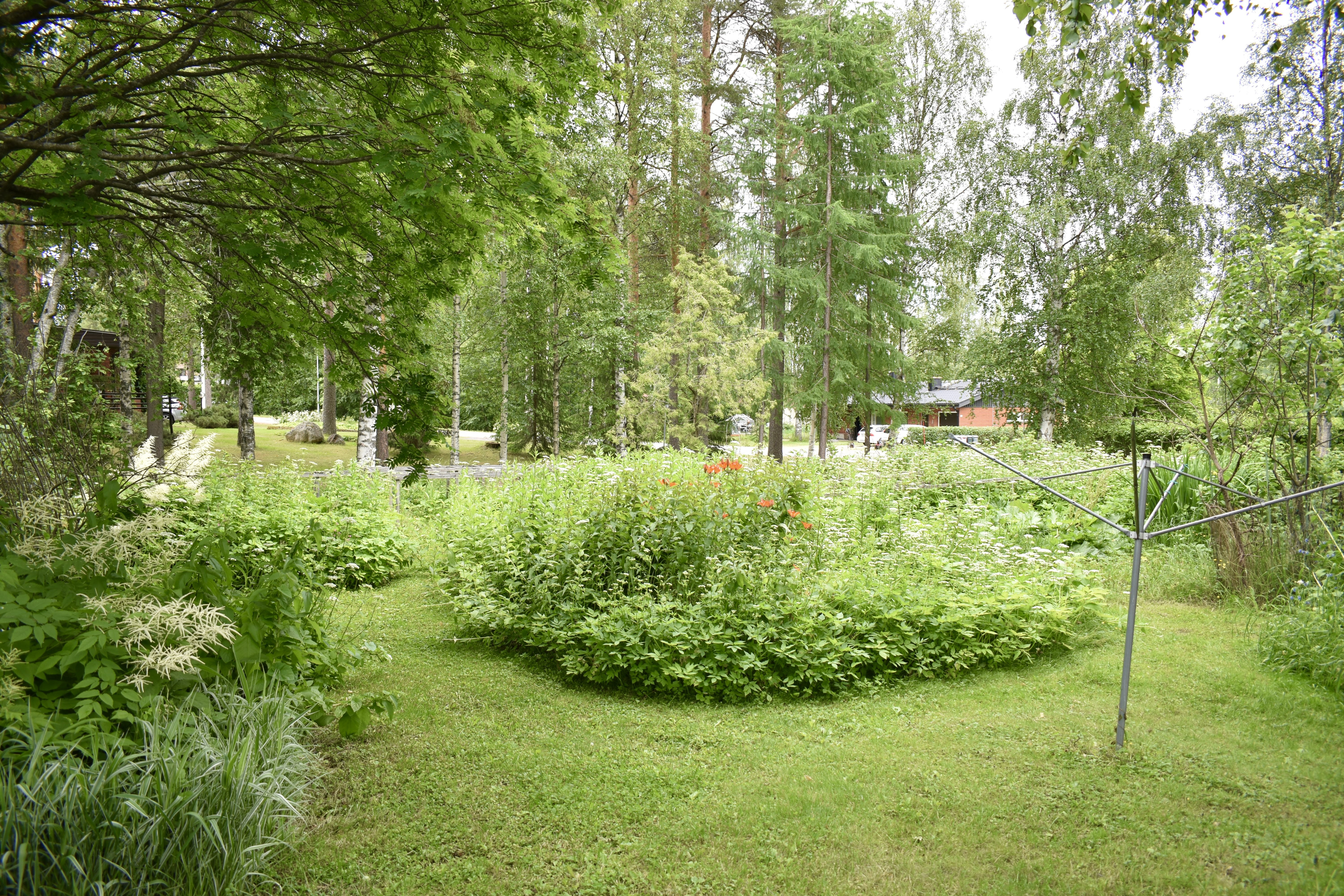 Sarakatu 8, Sotkamo