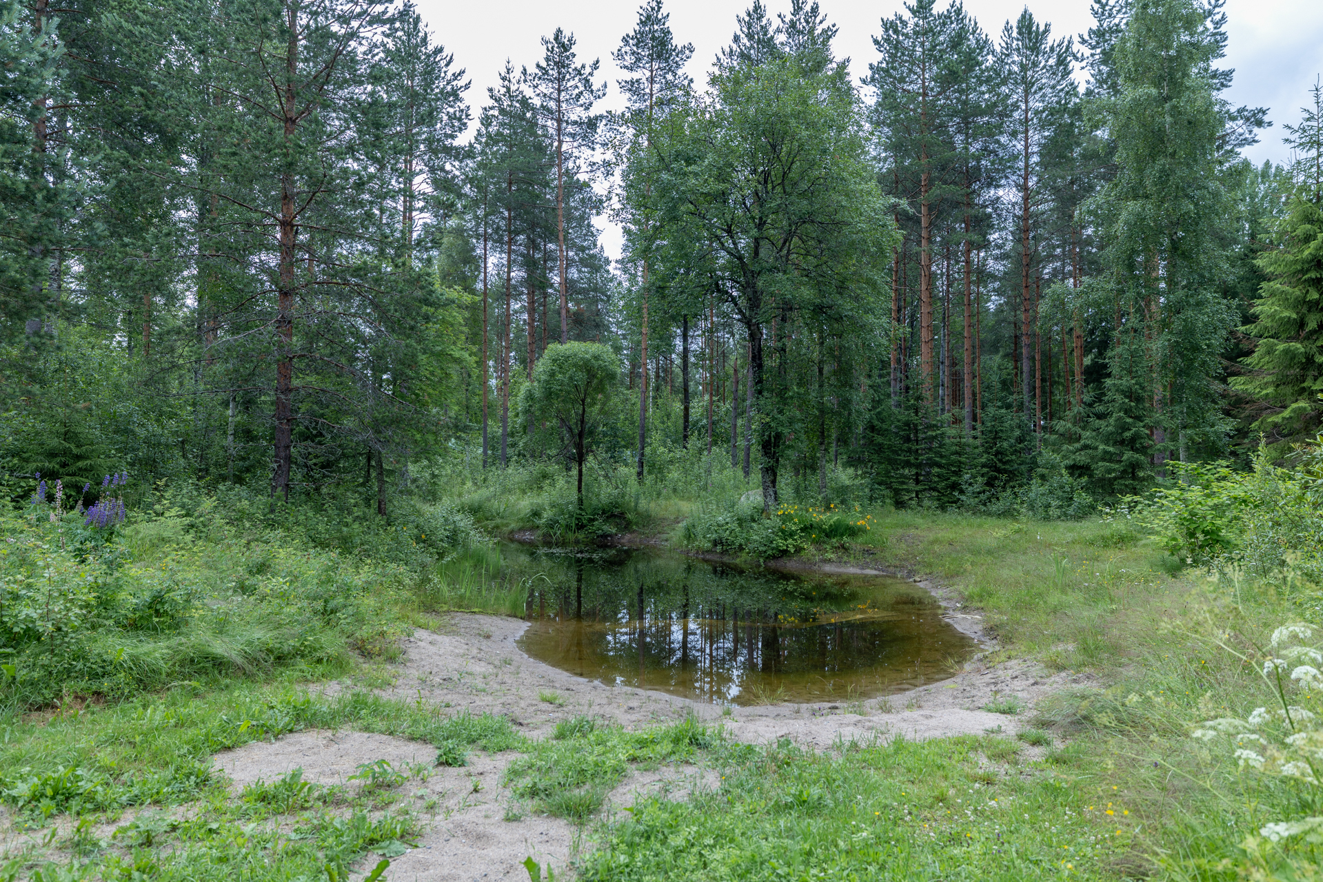 Saunarakennuksen vieressä pieni lampi