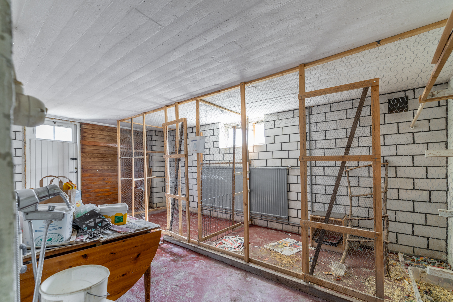 Autotalli kellarissa ollut kanojen talvikotina