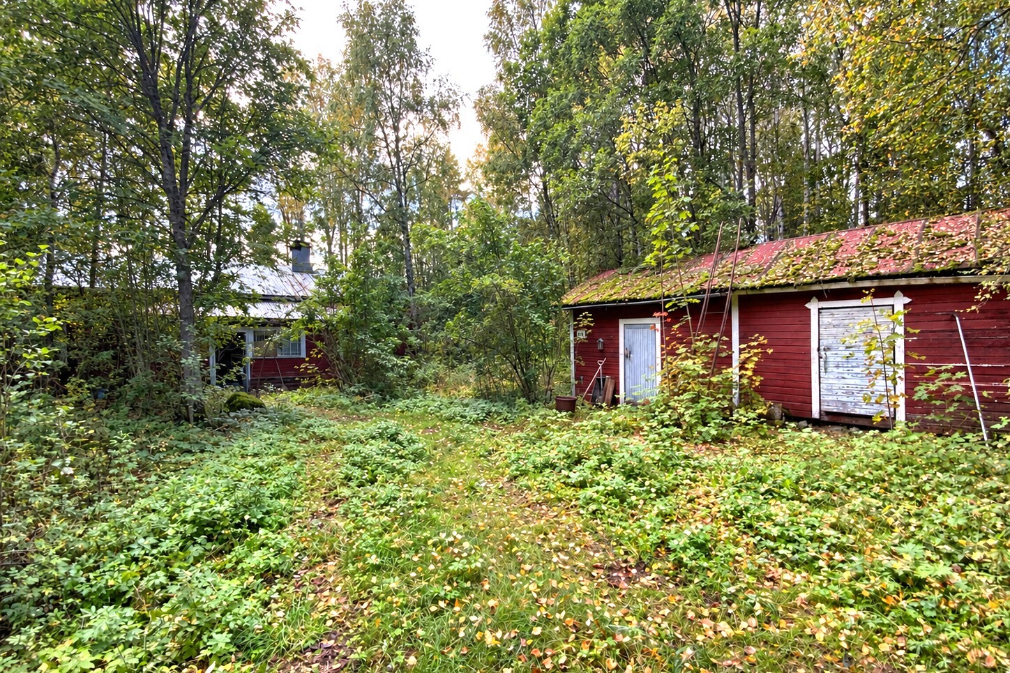 Ruskatie 16, Yliskylä, Orivesi