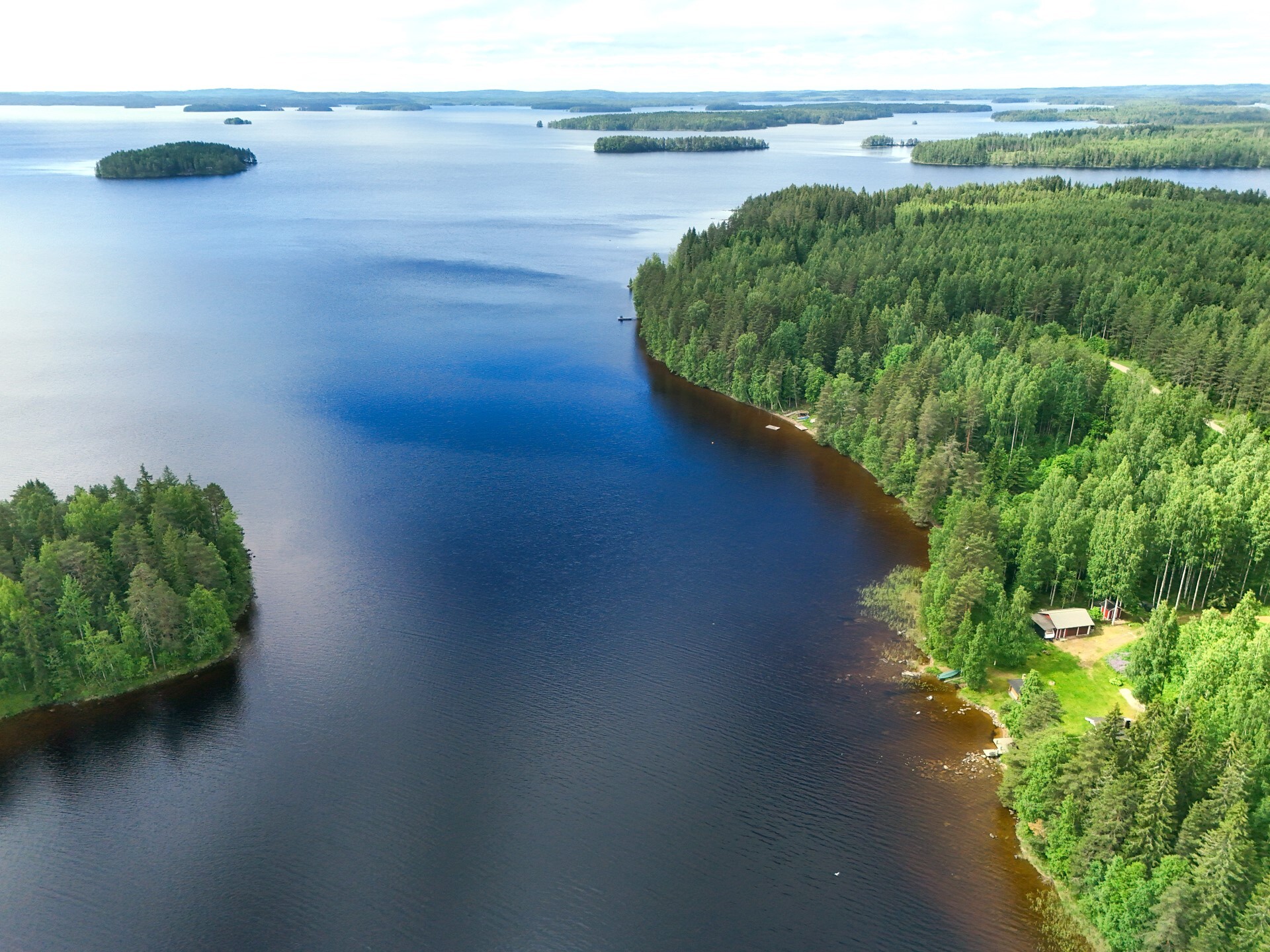 Juojärvi