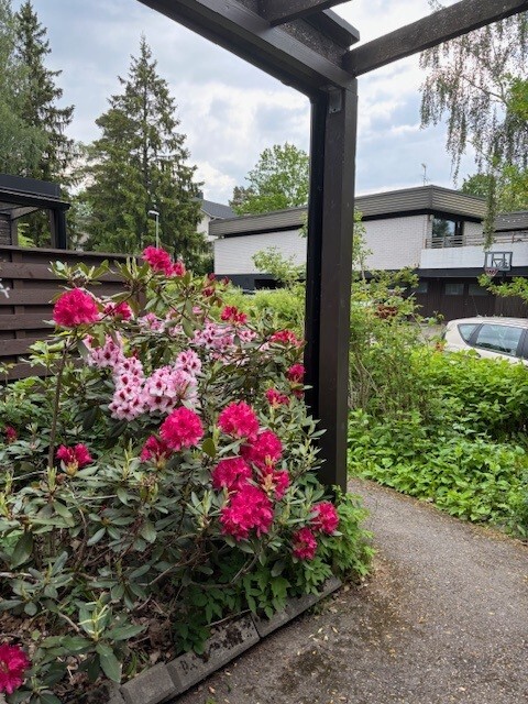 Piikintie , Itä-Pakila, Helsinki