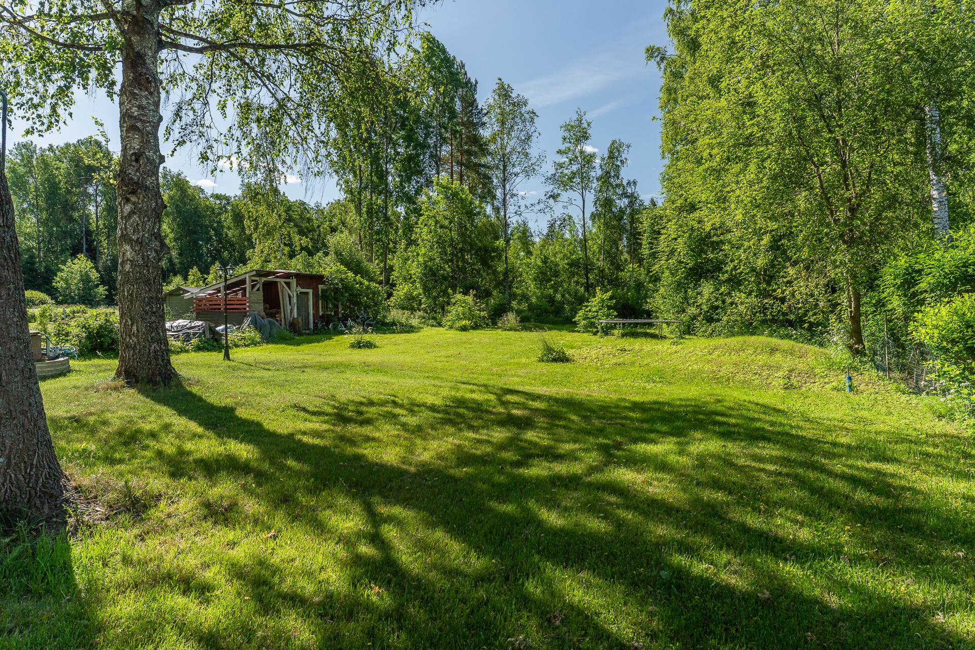 Vehreä piha
