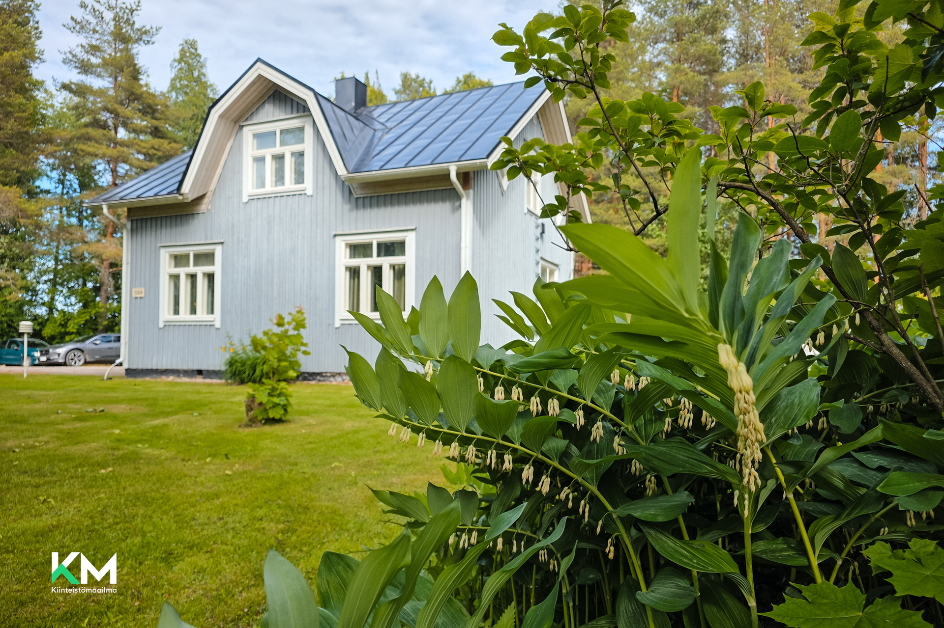 Södra Larsmovägen 138, Grev, Luoto