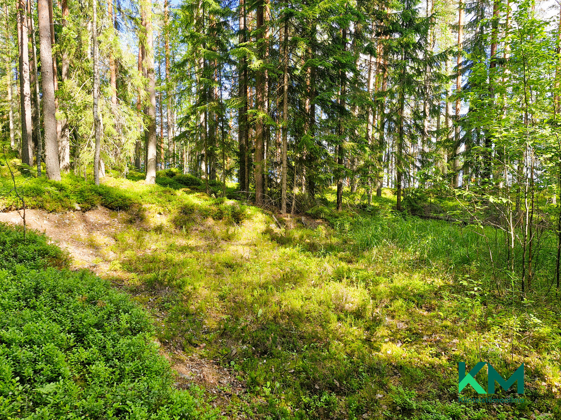 tiepohja tontin keskelle