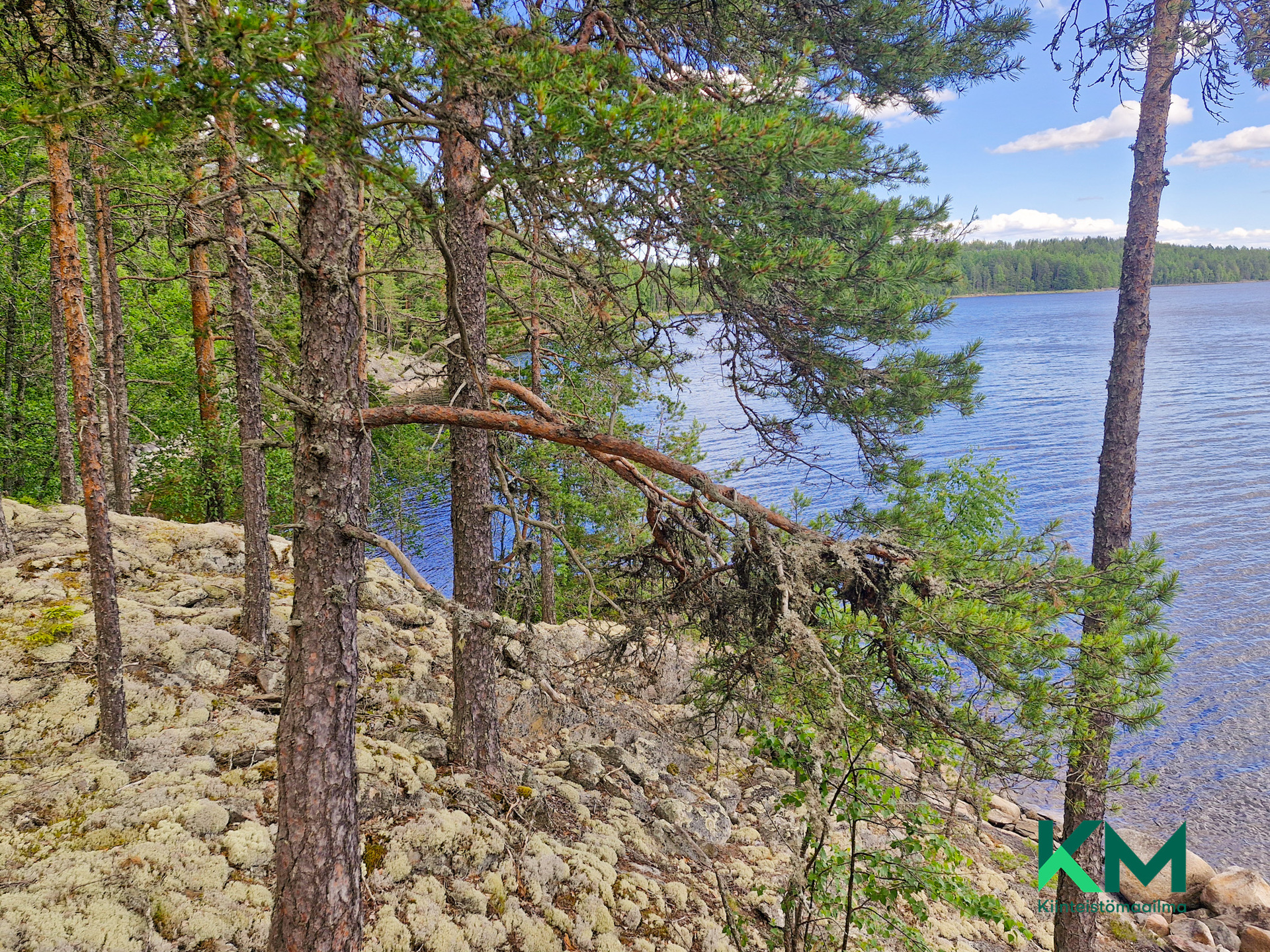 Lekotintie, Savonlinna