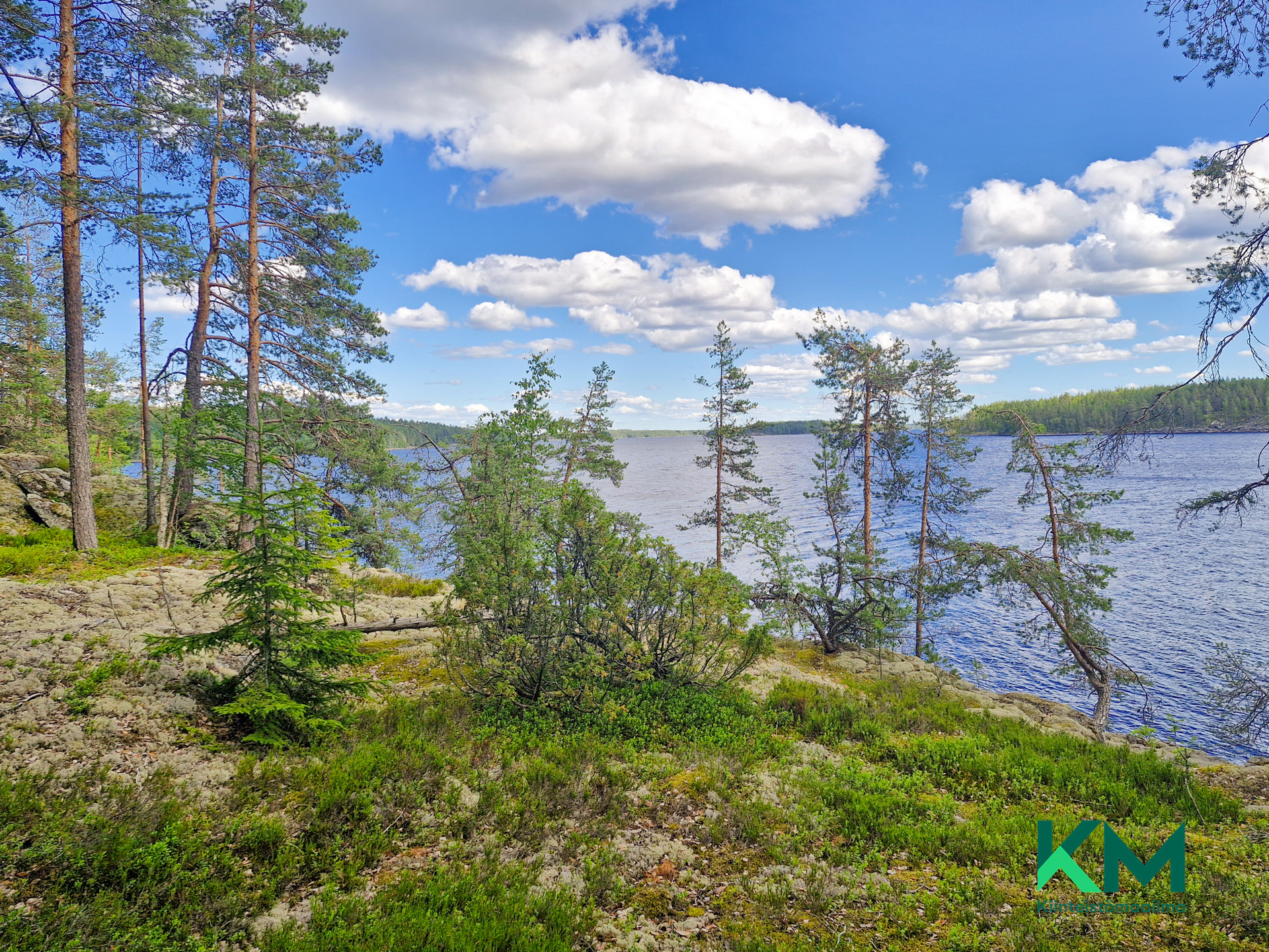 Lekotintie, Savonlinna