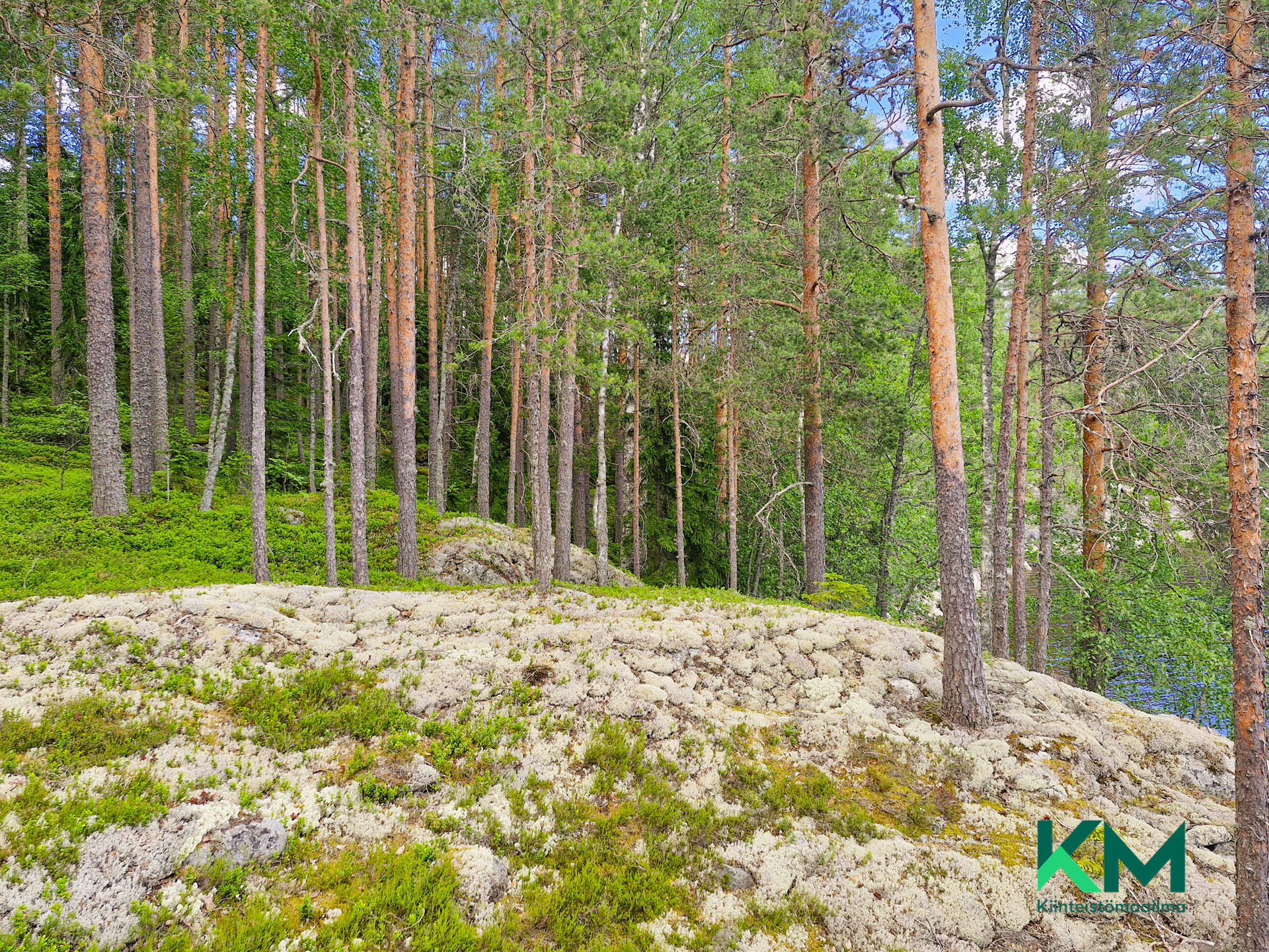Lekotintie, Savonlinna