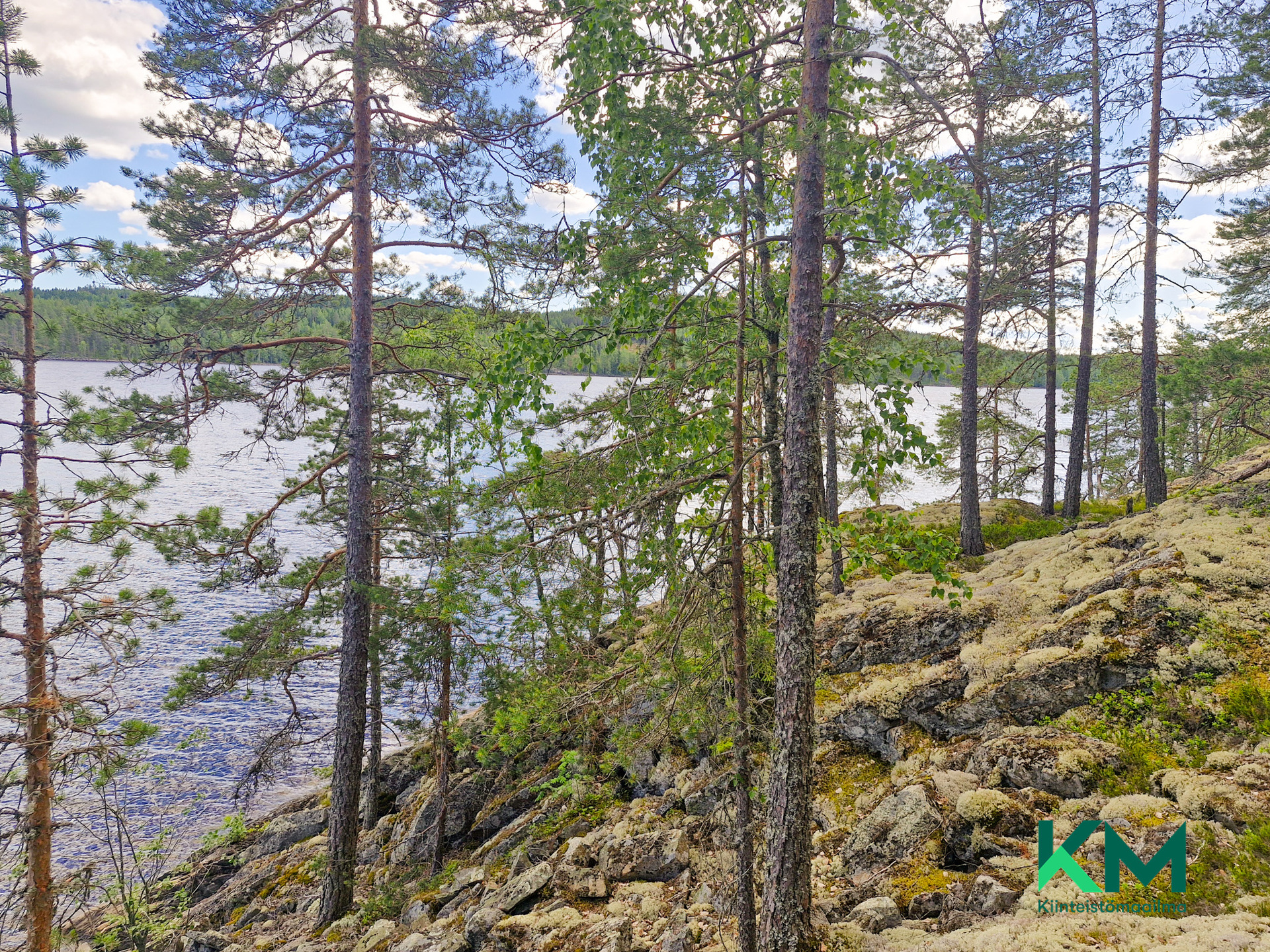 Lekotintie, Savonlinna