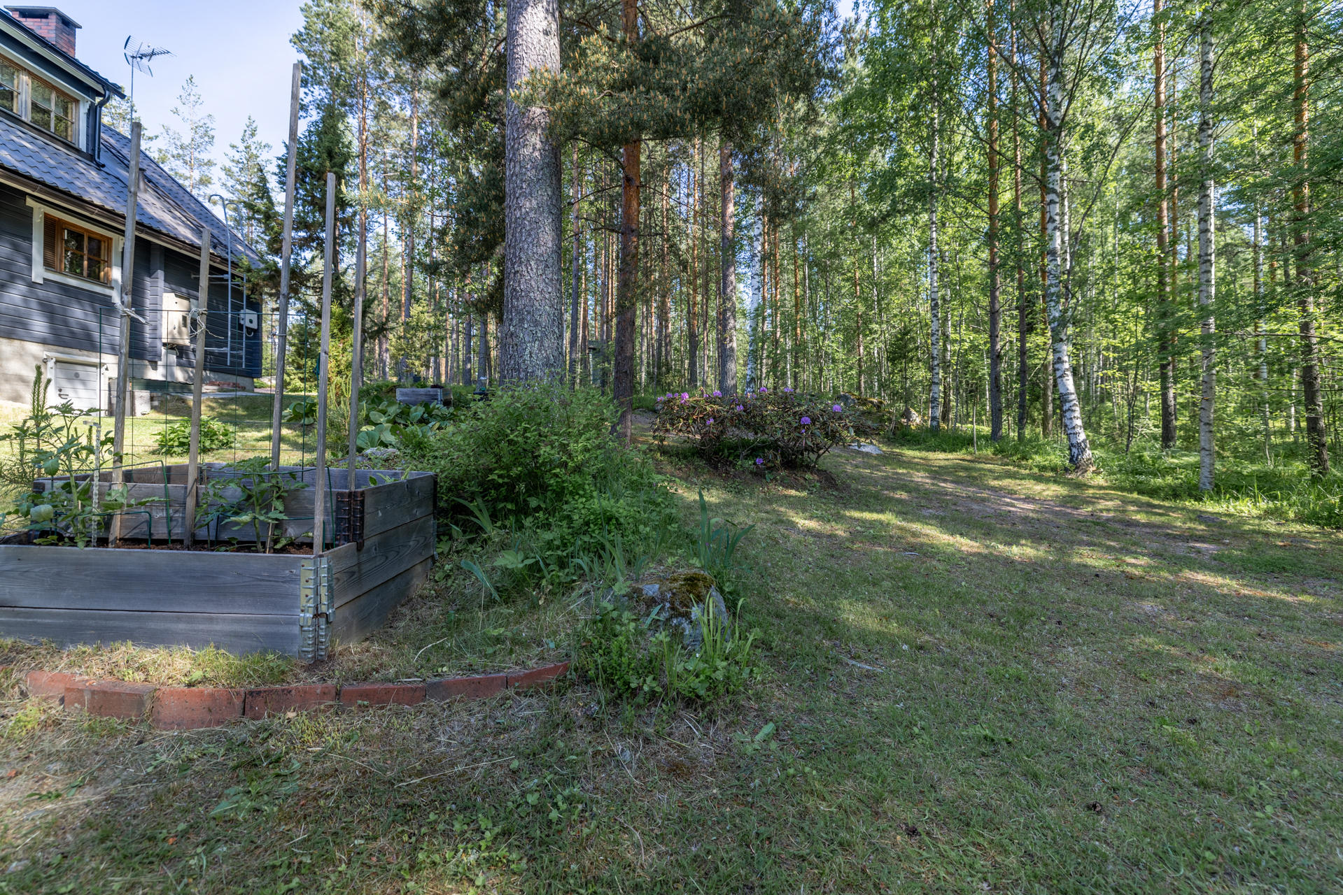 Houtunsaarentie 310, Houtunsaari, Mikkeli