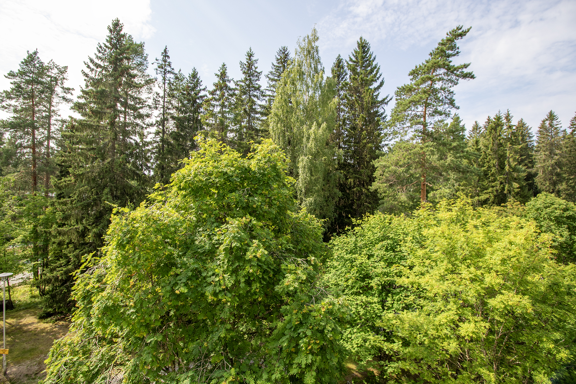 Sammakkolammentie 1, Puijonlaakso, Kuopio